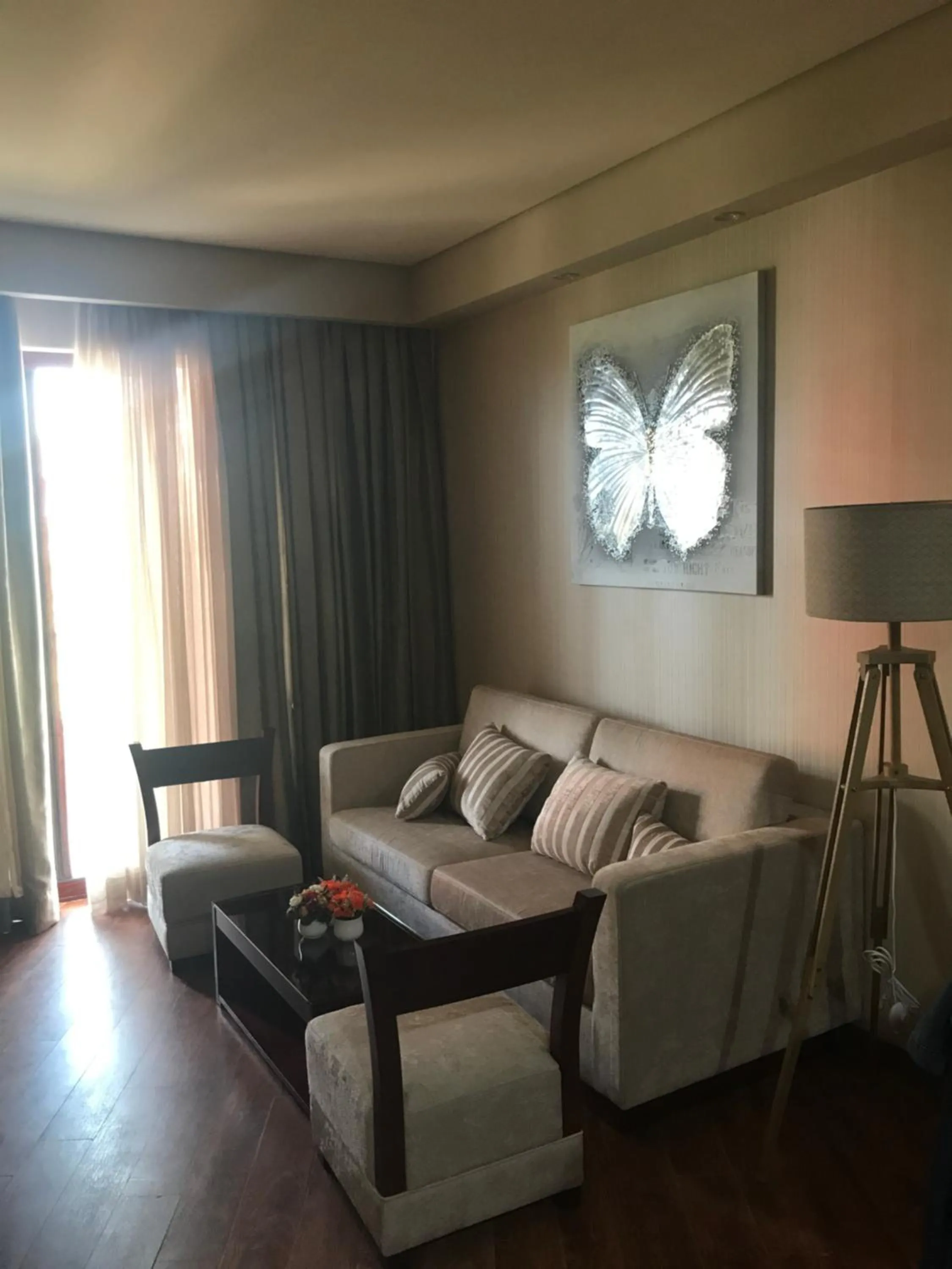 Living room in Ana's Apartment in Chakvi Oasis