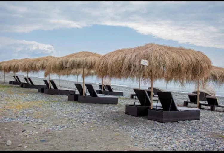 Beach in Ana's Apartment in Chakvi Oasis