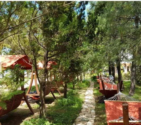 Ana's Apartment in Chakvi Oasis