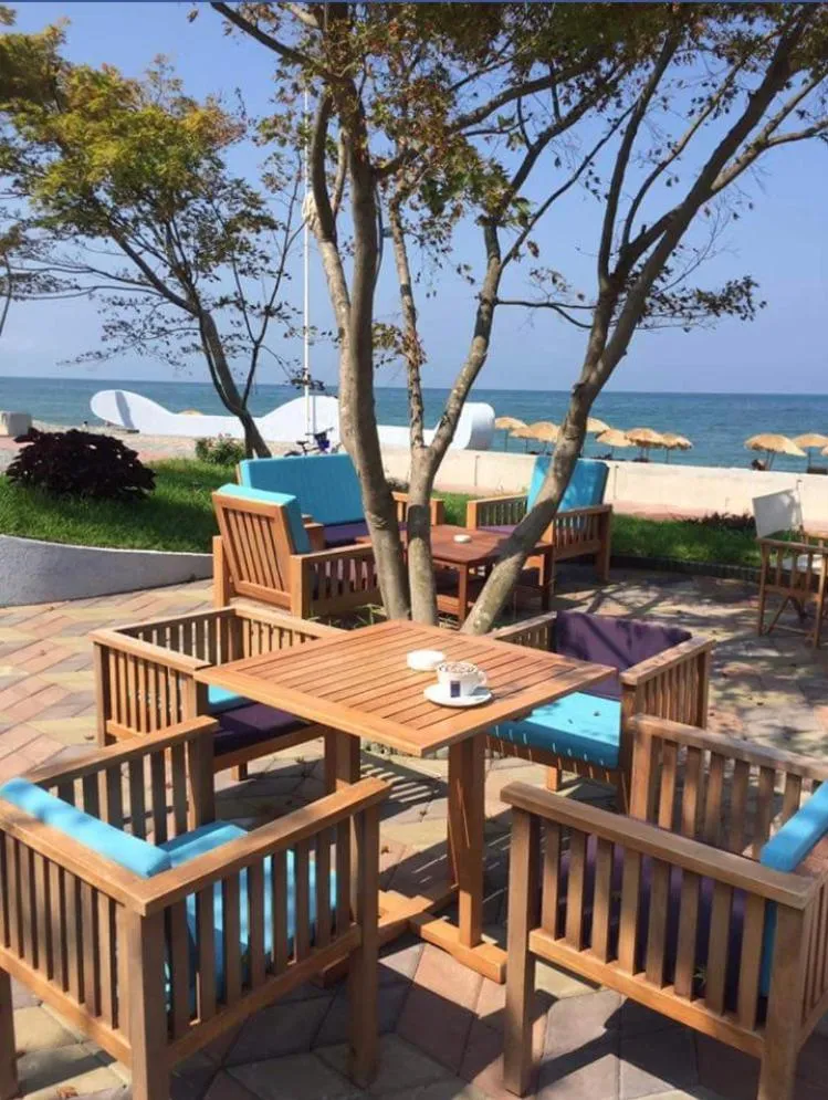 Lounge or bar in Ana's Apartment in Chakvi Oasis