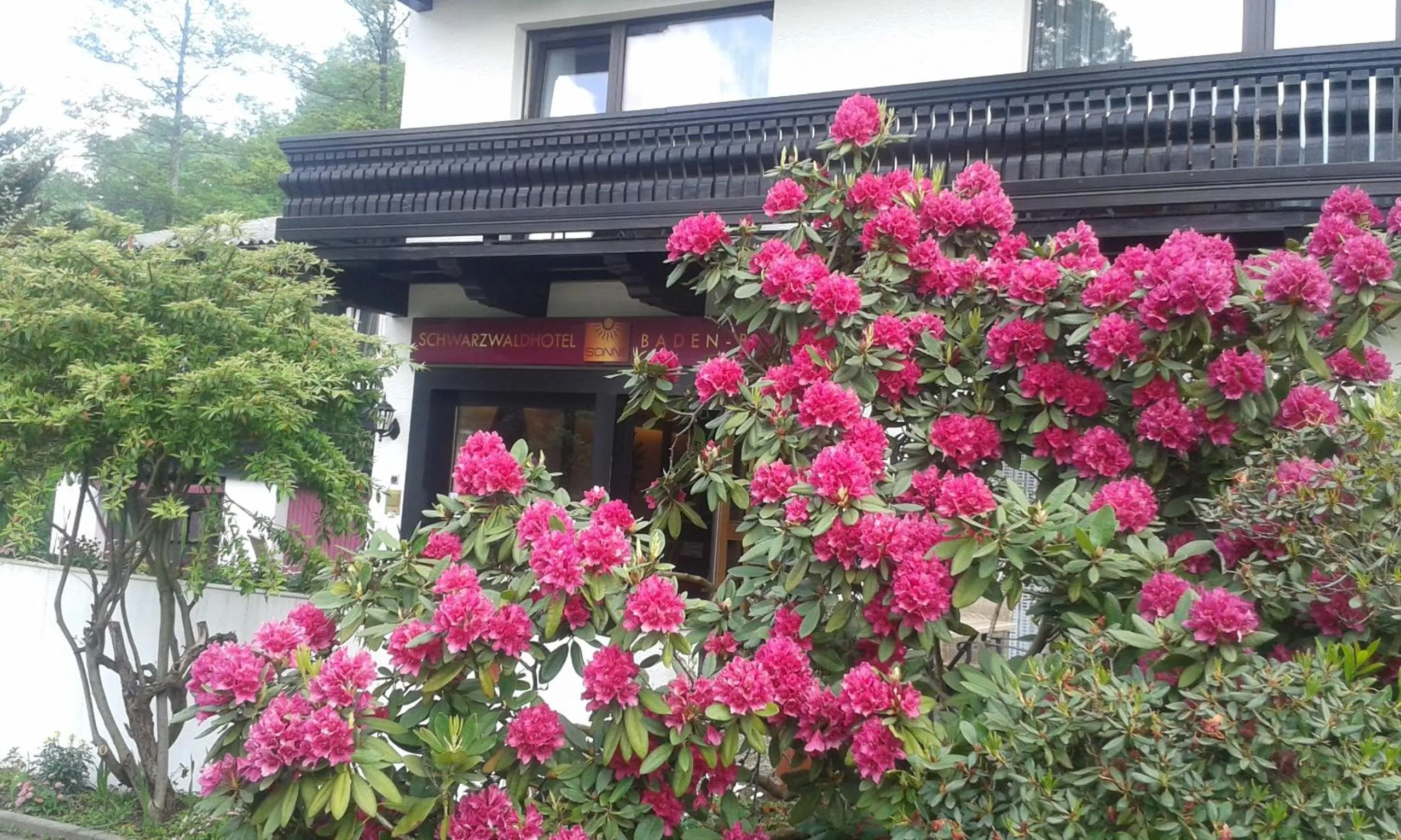 Day in Schwarzwaldhotel Sonne