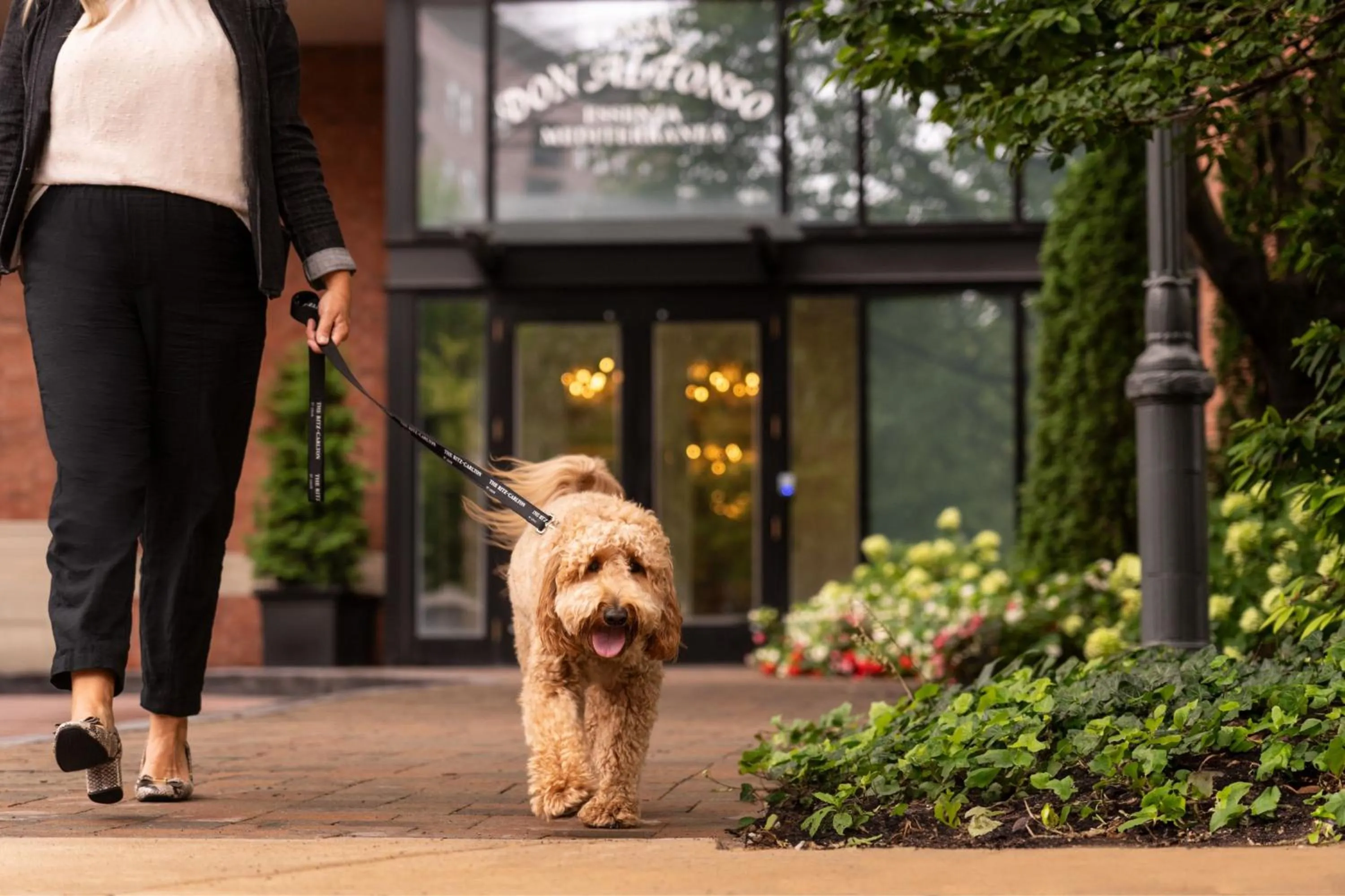 View (from property/room) in The Ritz-Carlton, St. Louis