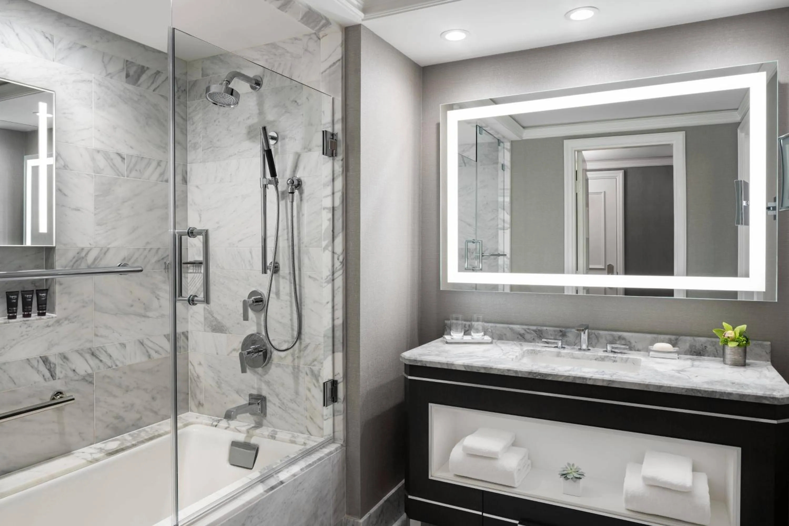 Bathroom in The Ritz-Carlton, St. Louis