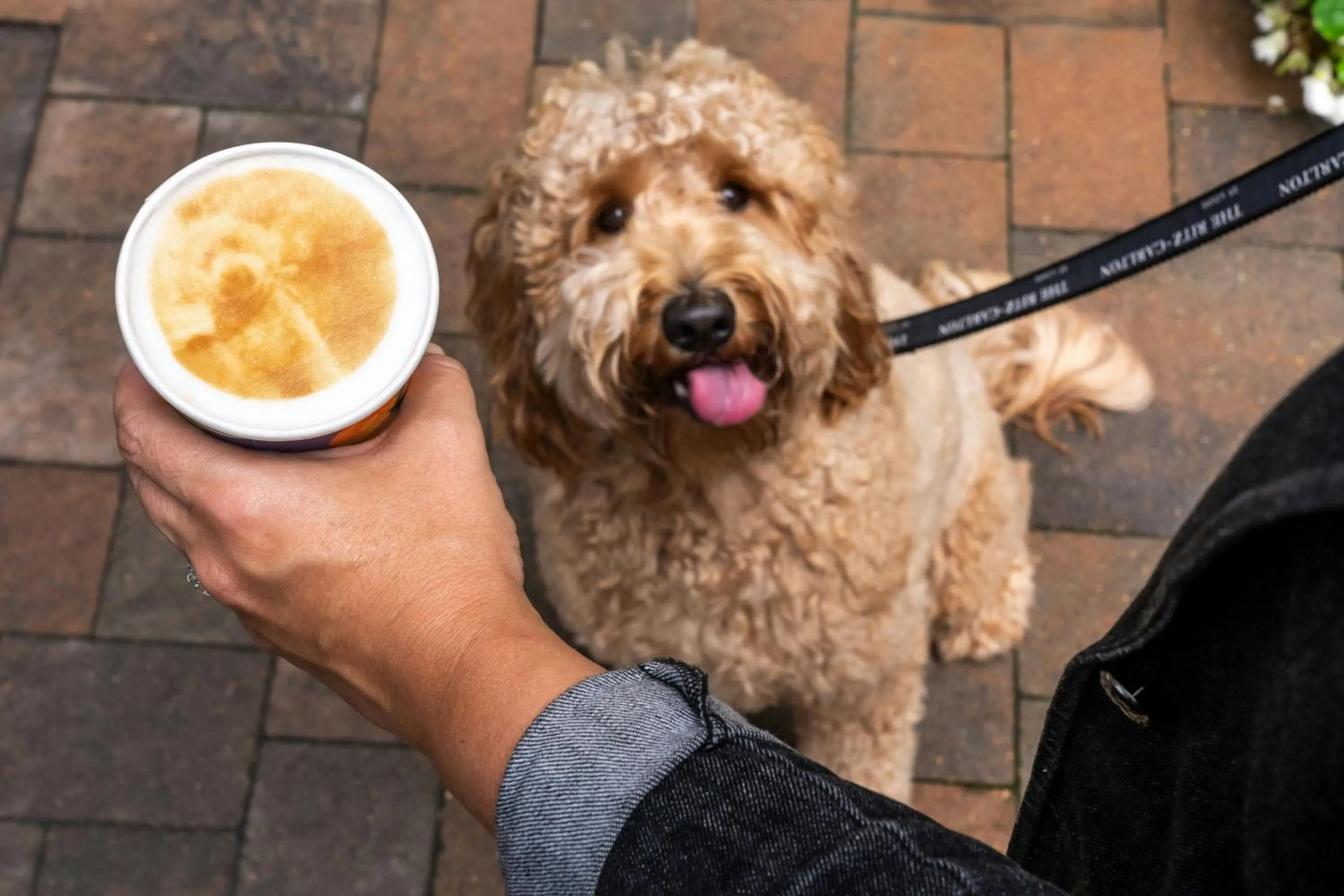 Other in The Ritz-Carlton, St. Louis