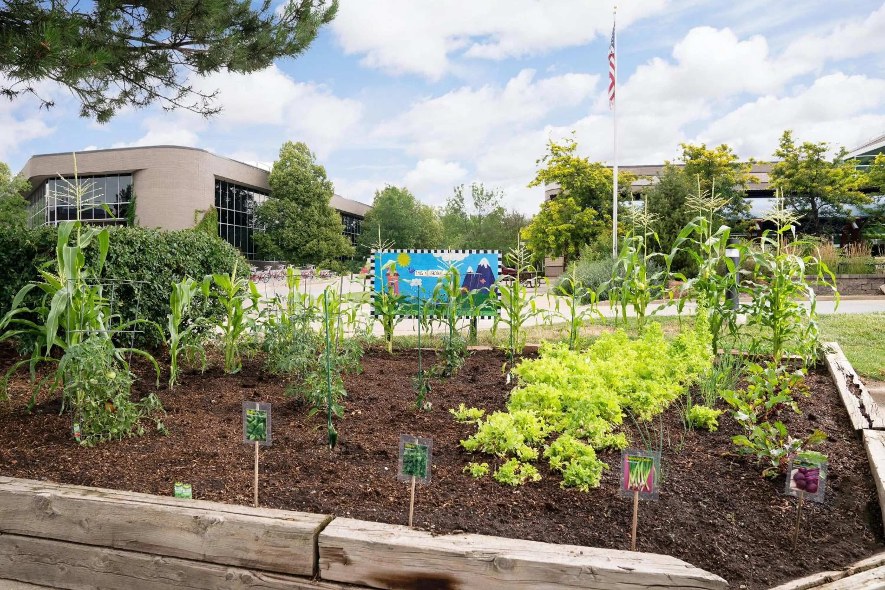 Other in Residence Inn by Marriott Boulder