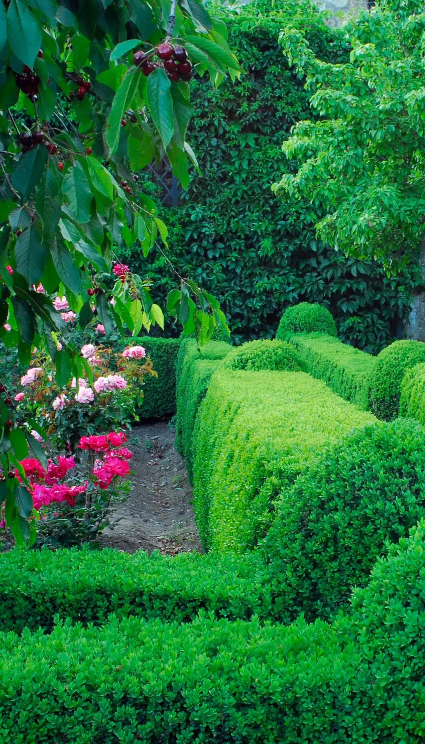 Garden in El Jardín del Convento, Casa Rural