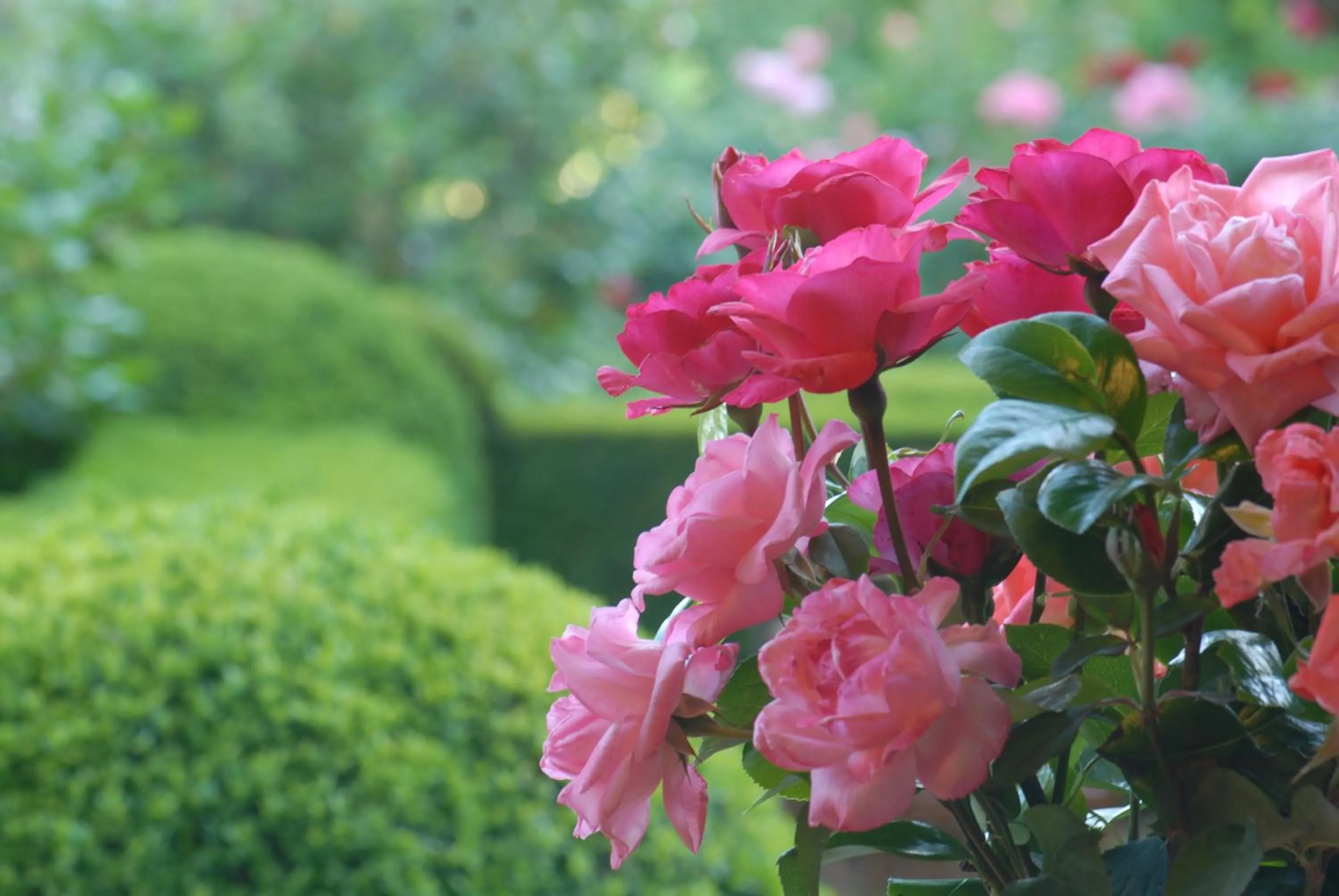 Garden in El Jardín del Convento, Casa Rural