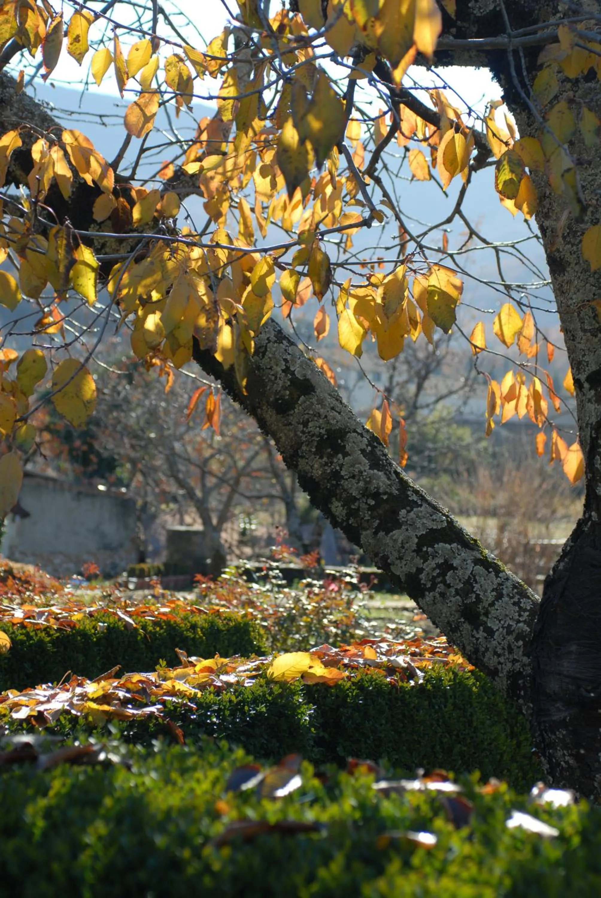 Garden in El Jardín del Convento, Casa Rural