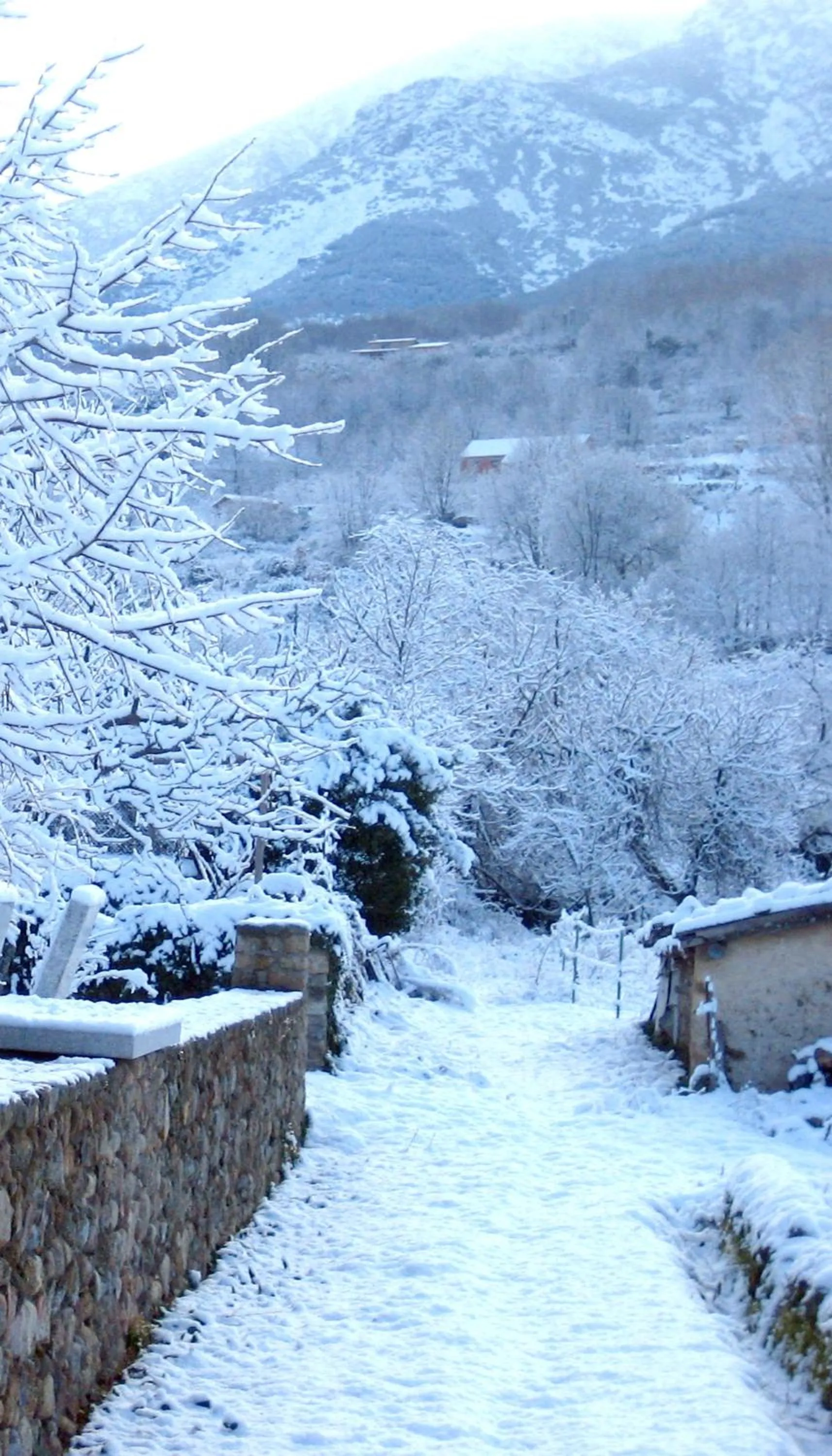Garden in El Jardín del Convento, Casa Rural