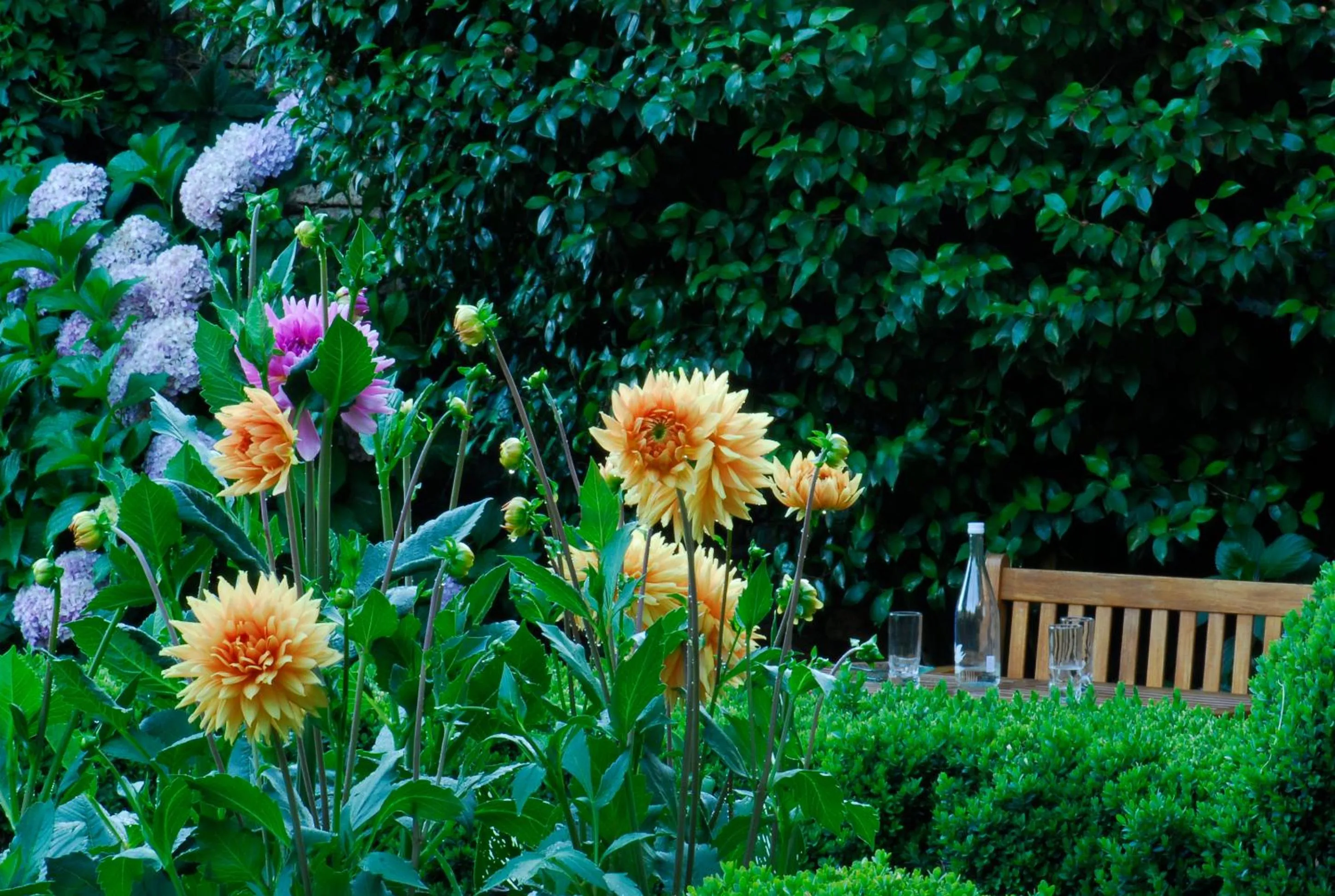 Garden in El Jardín del Convento, Casa Rural