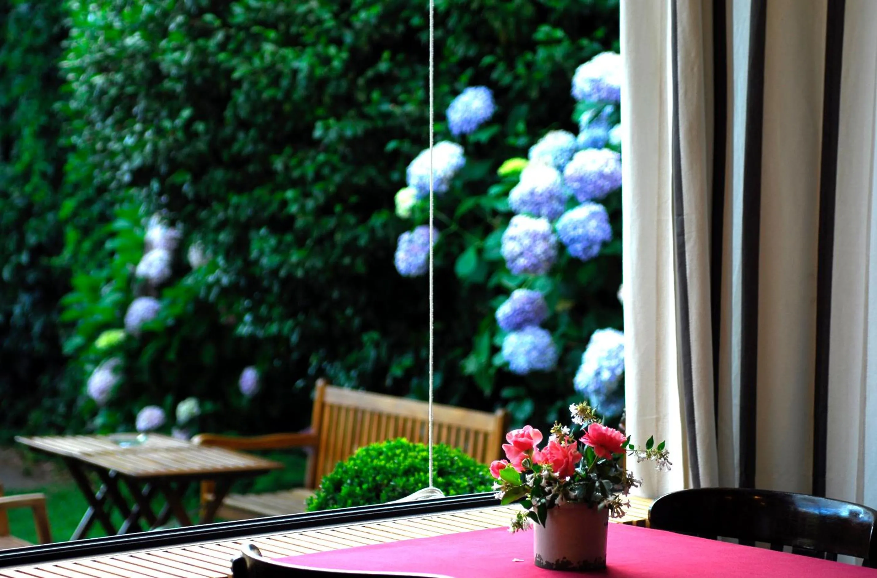 Garden in El Jardín del Convento, Casa Rural