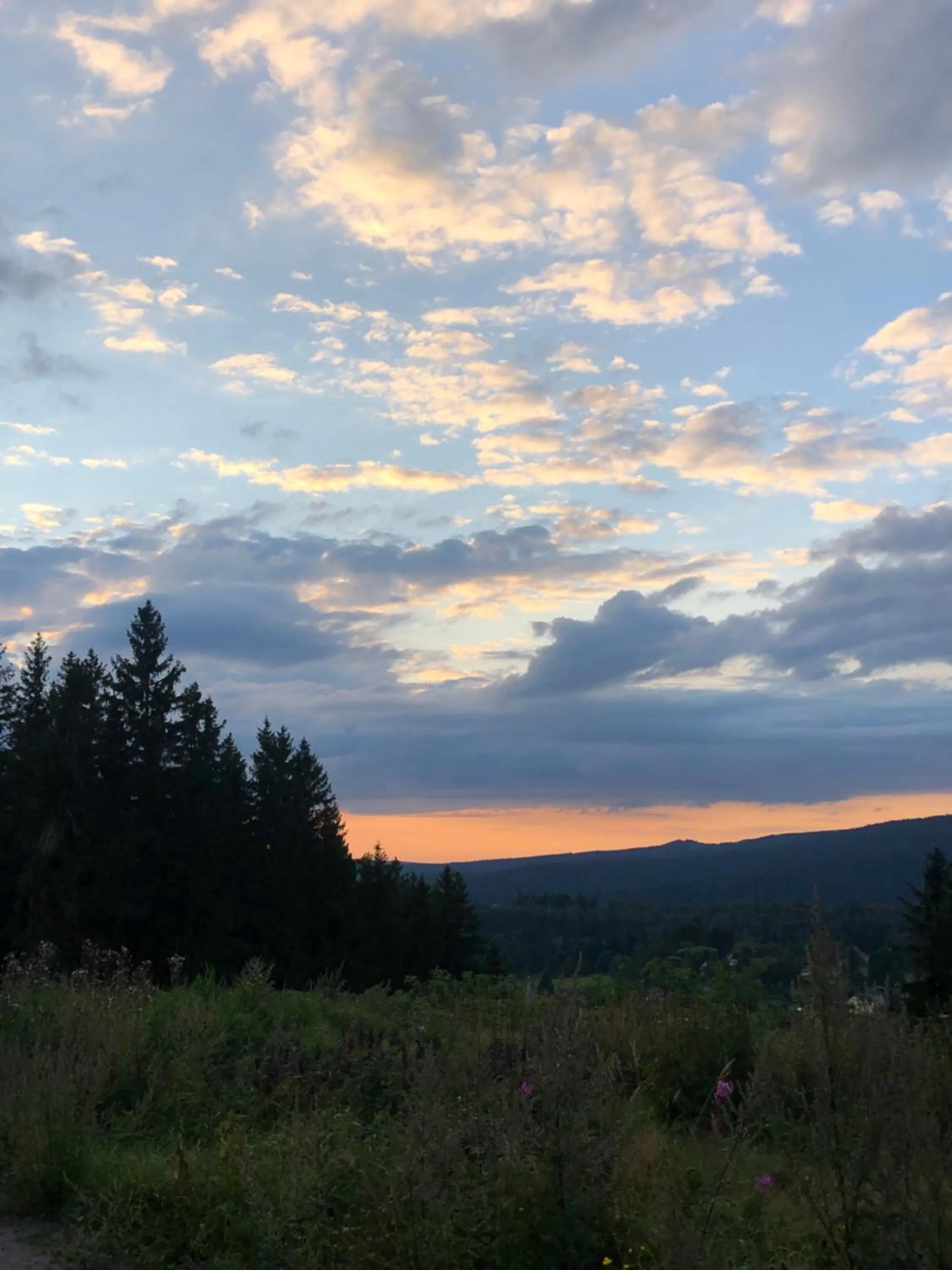 Natural landscape in Am Dürrenbachtal