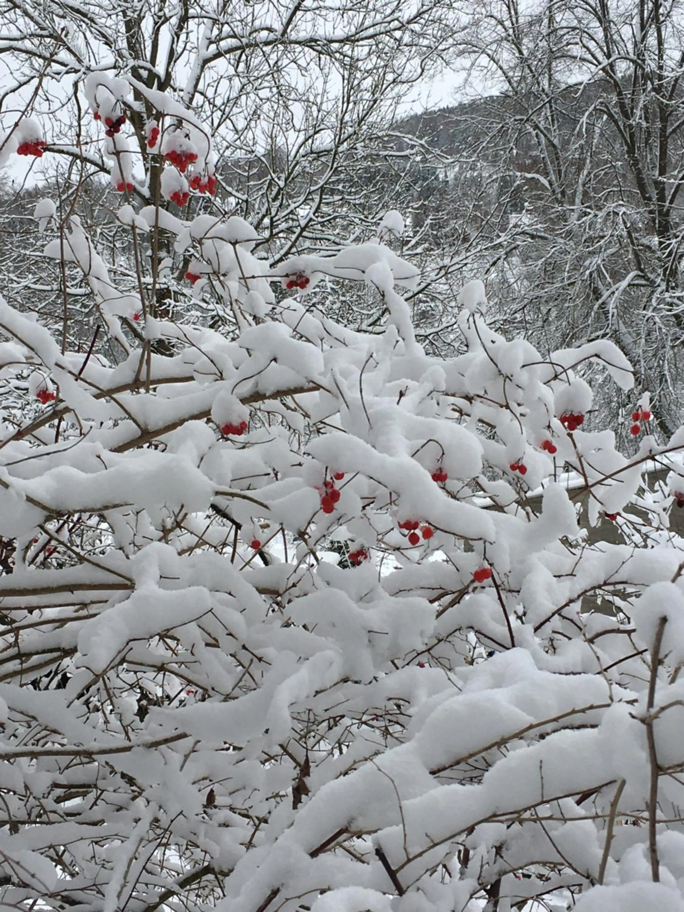 Natural landscape in Am Dürrenbachtal