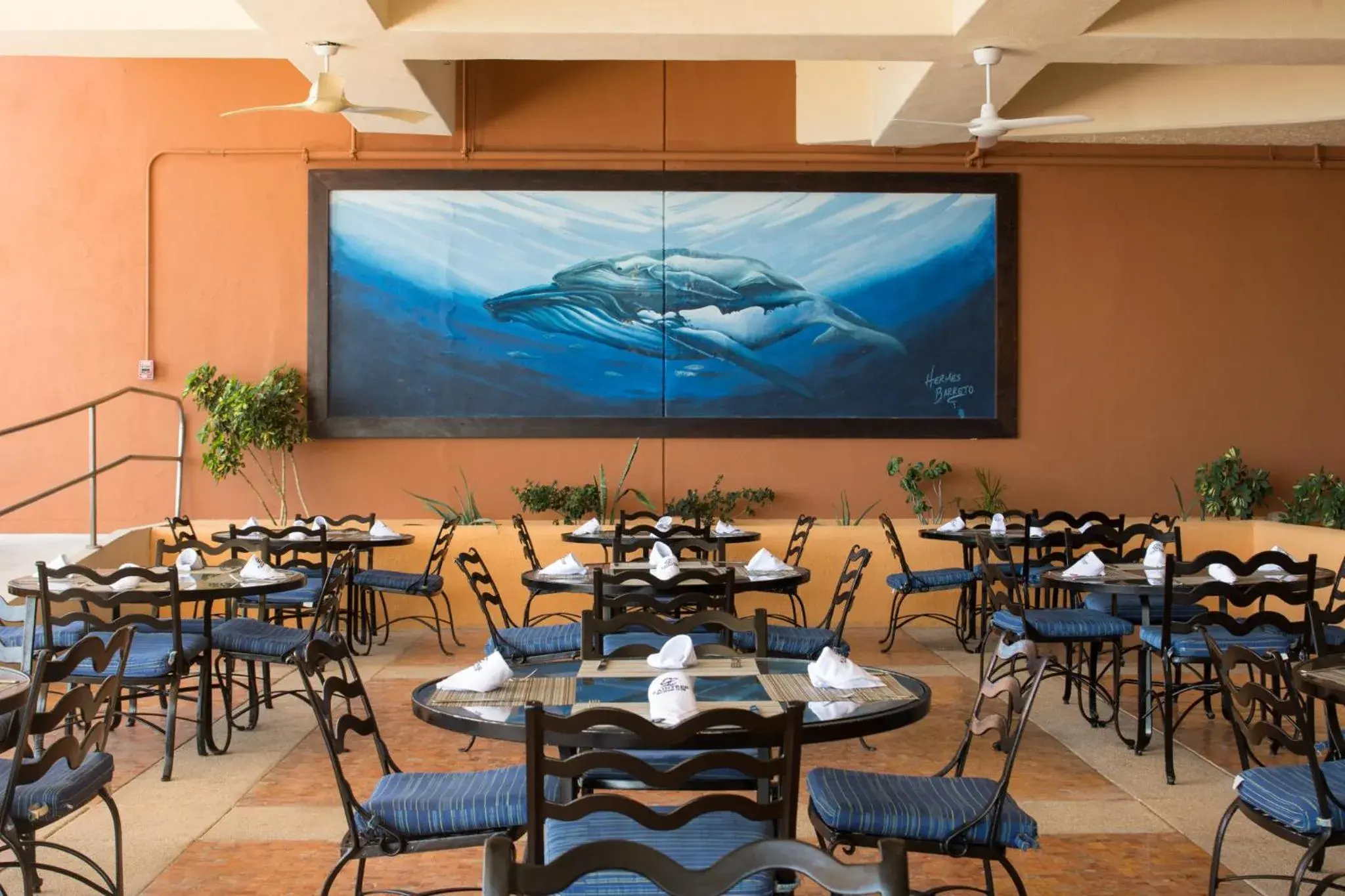 Restaurant/places to eat in Club Regina Los Cabos Restaurant/places to eat in Club Regina Los Cabos