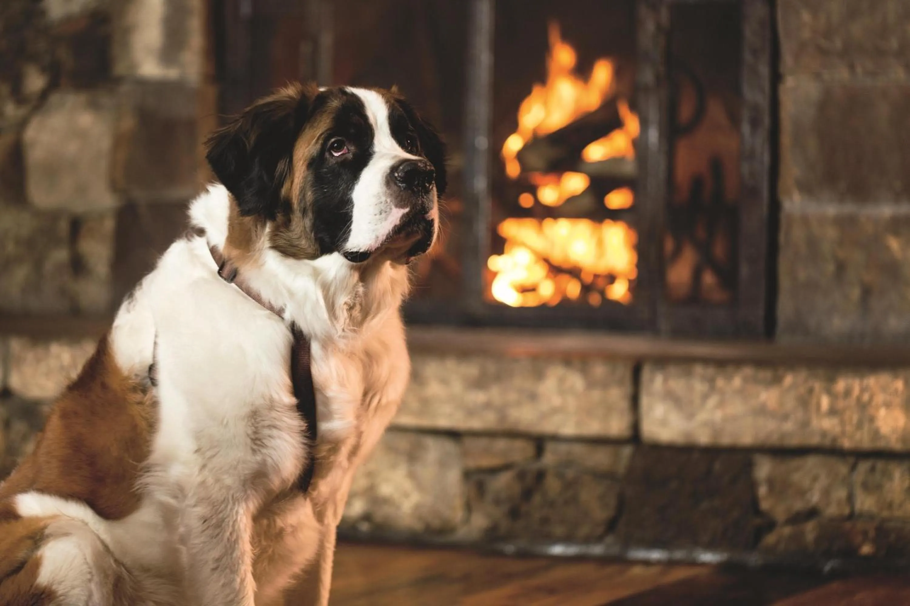 Other in The Ritz-Carlton, Bachelor Gulch