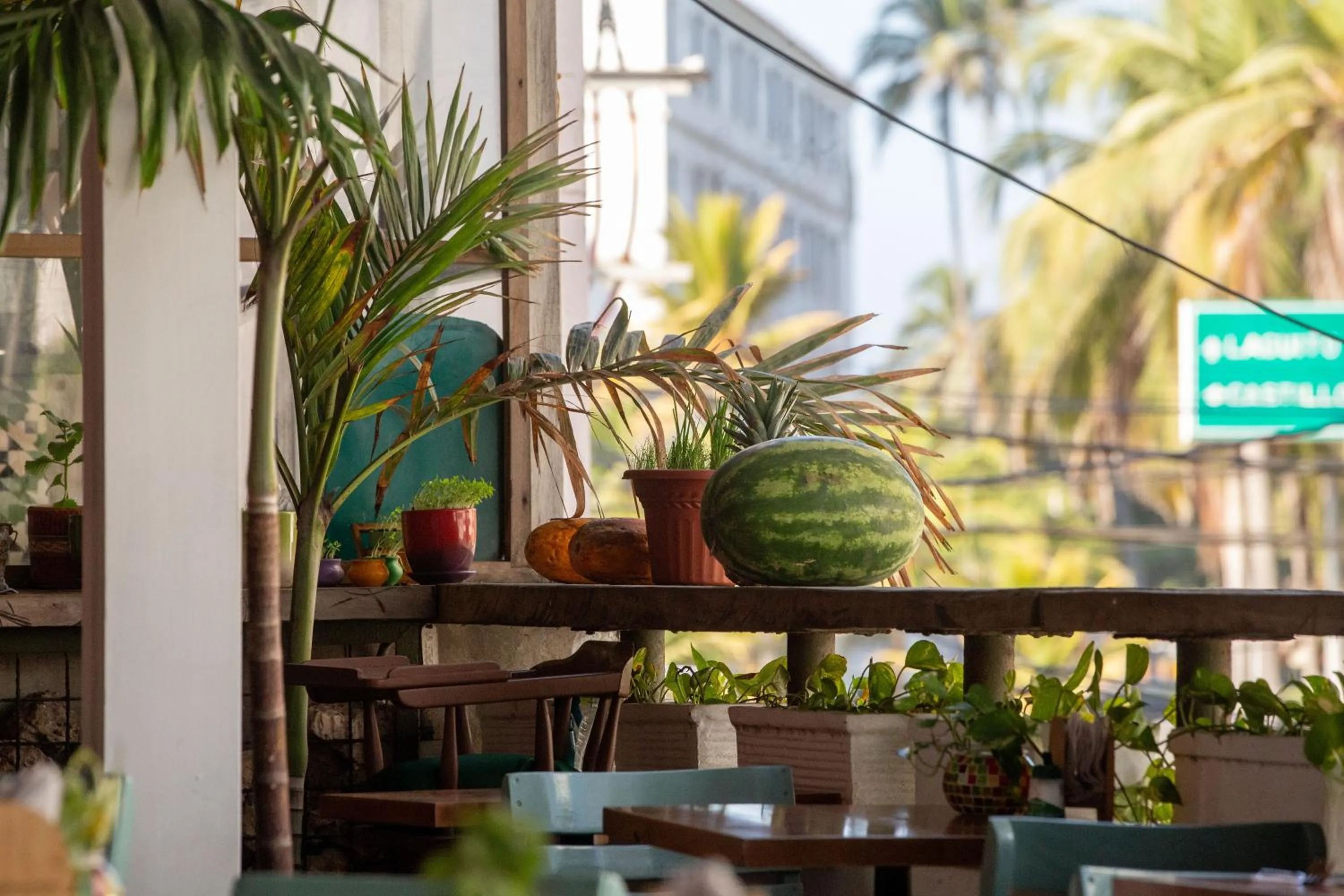 Day in Hotel Barahona Cartagena