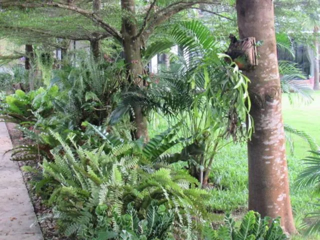 B&B Forest Hill Khao Yai