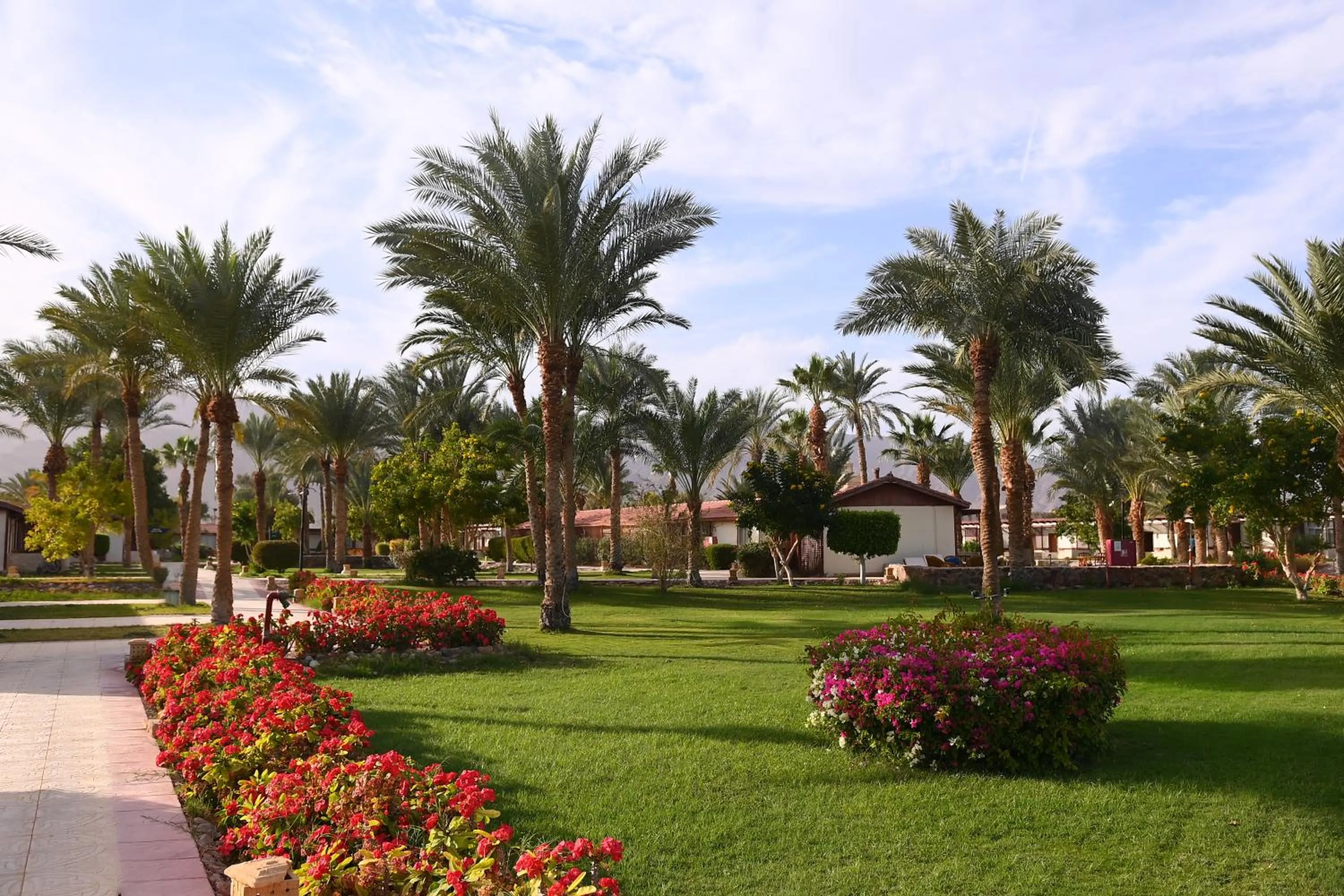 Property building in Fiord Club Resort & Spa Nuweiba