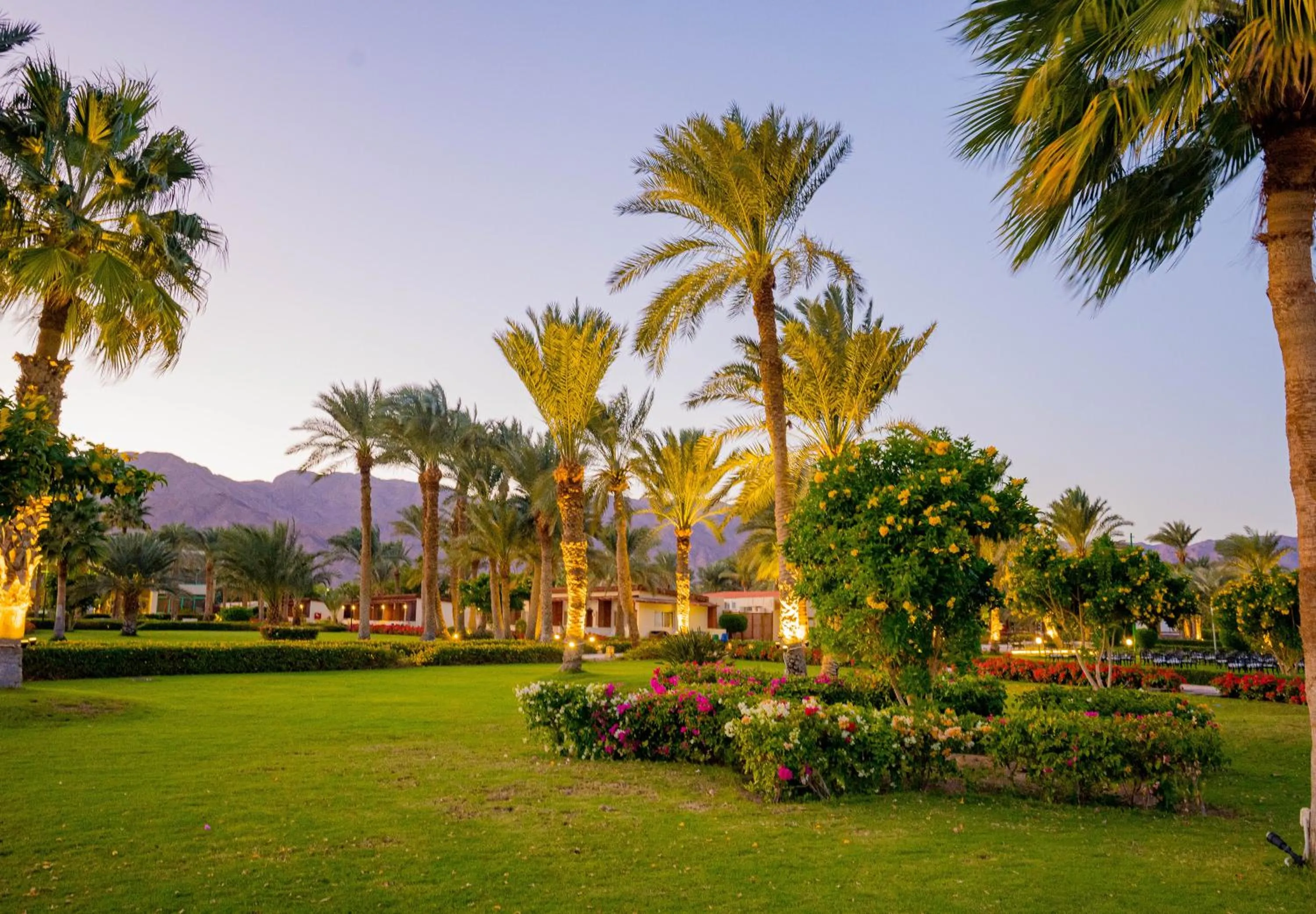 Natural landscape in Nuweiba Club Resort