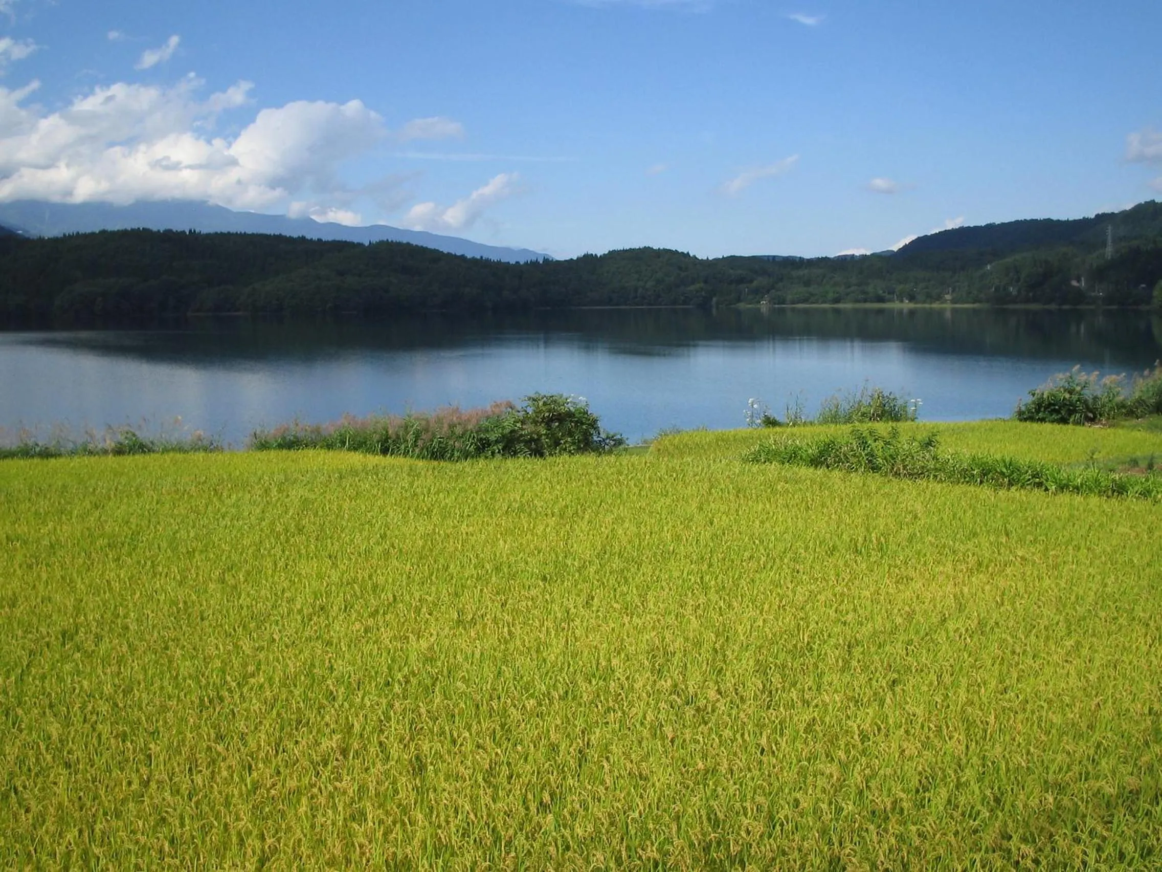 Natural landscape in K's House Hakuba Alps - Travelers Hostel