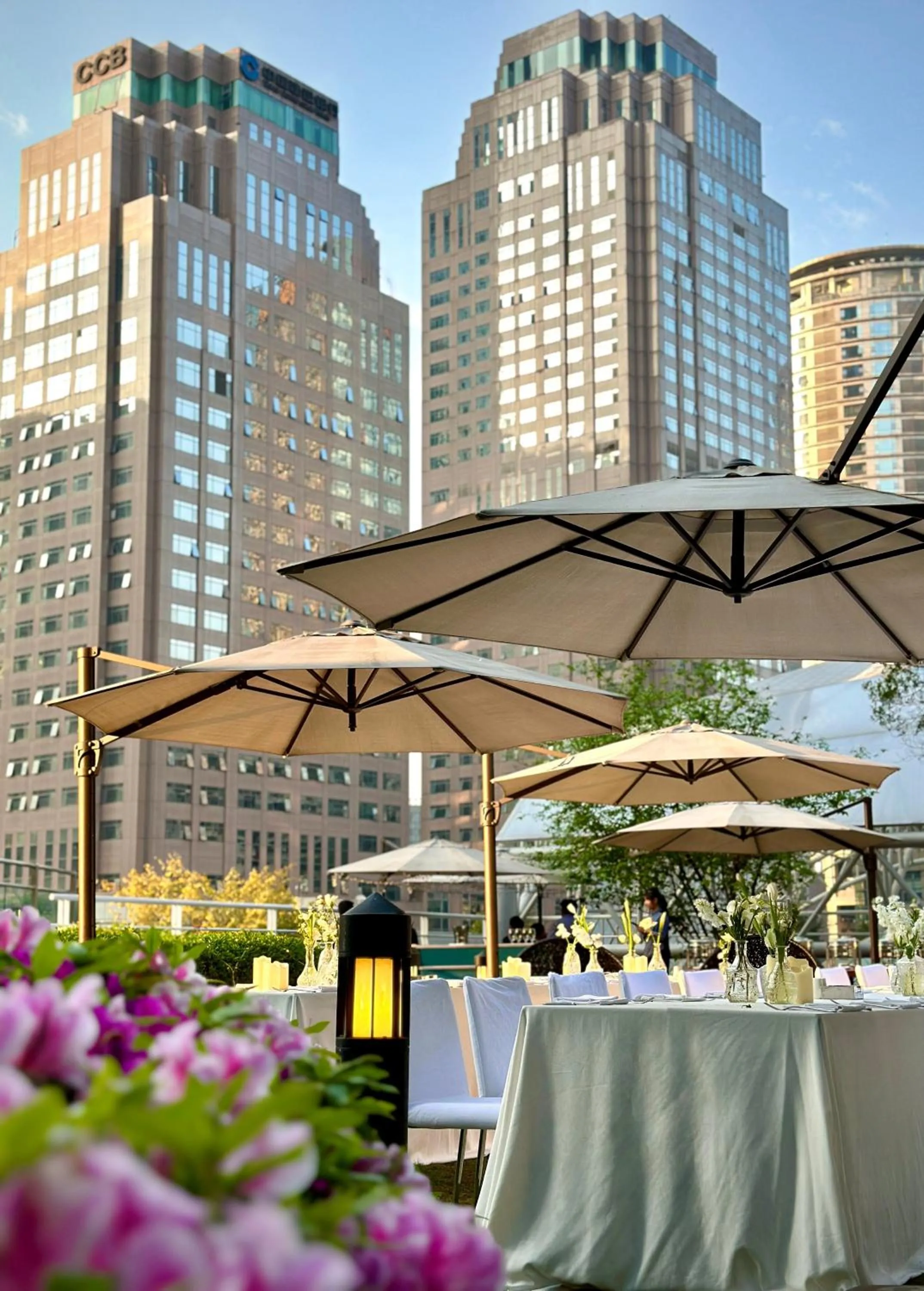 Garden in Hyatt Regency Metropolitan Chongqing