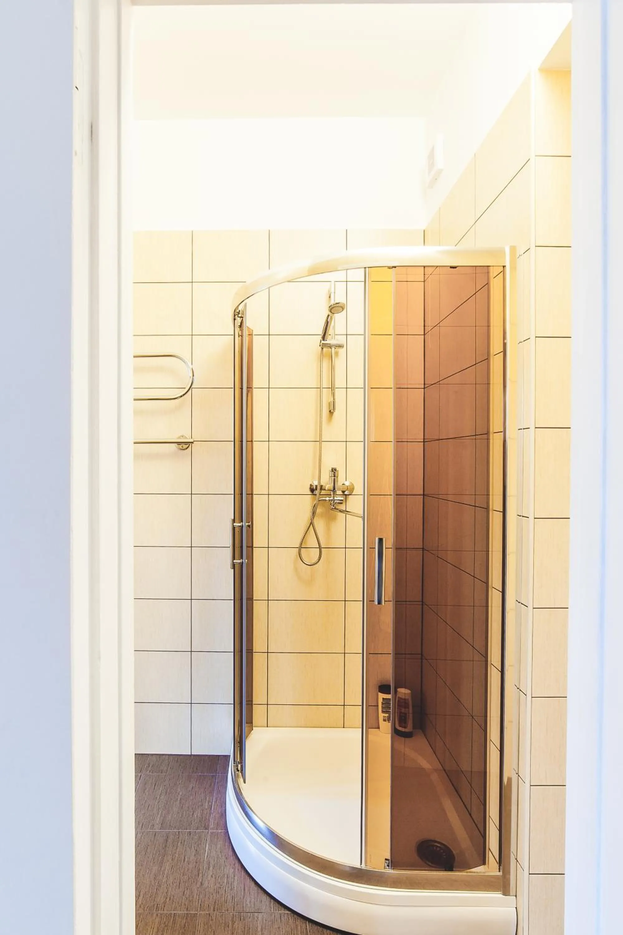 Shower in Miesnieku Old Town apartment