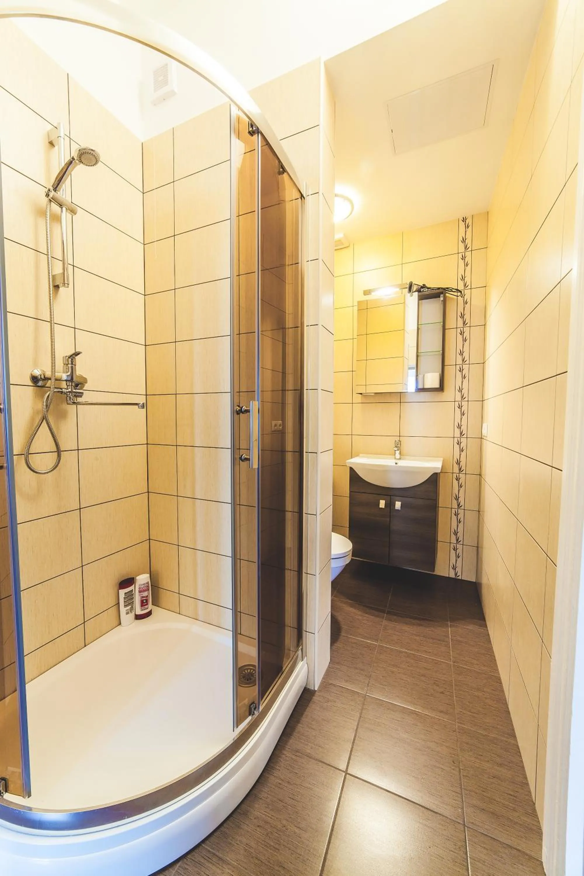 Shower in Miesnieku Old Town apartment