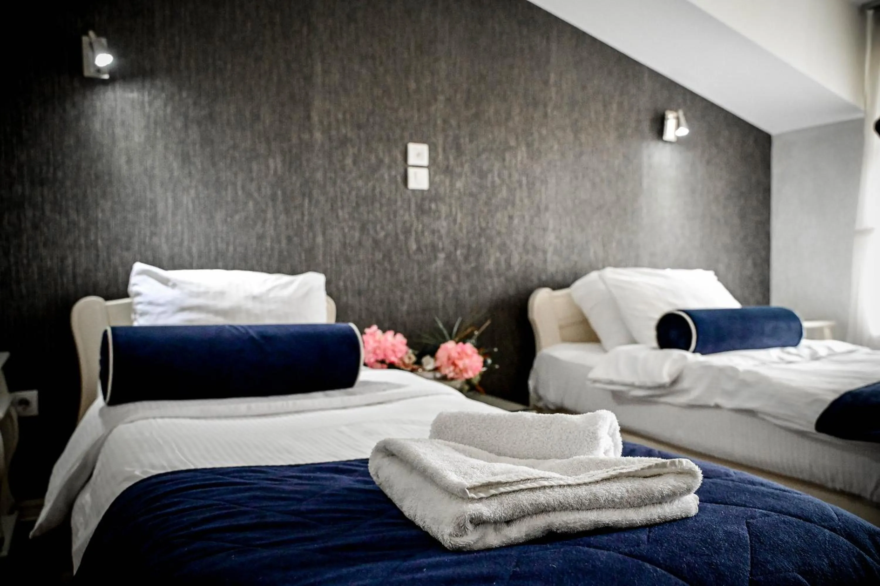 Bed in Hotel Centar Balasevic