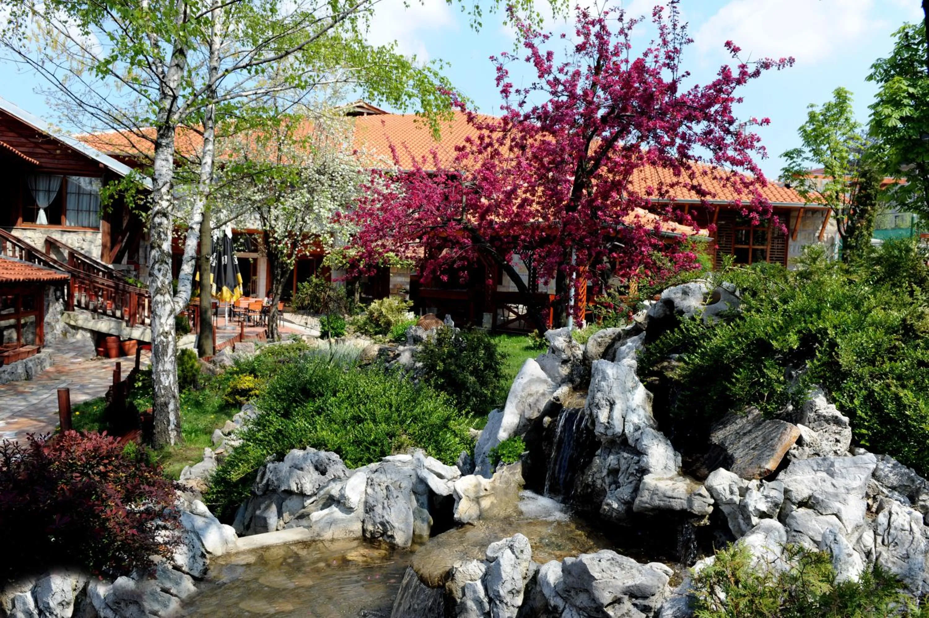Natural landscape in Hotel Centar Balasevic