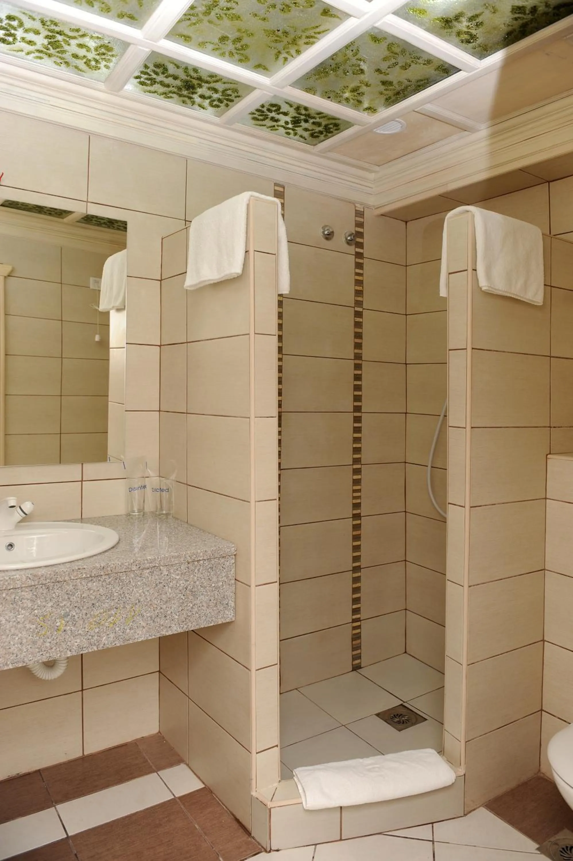 Bathroom in Hotel Centar Balasevic