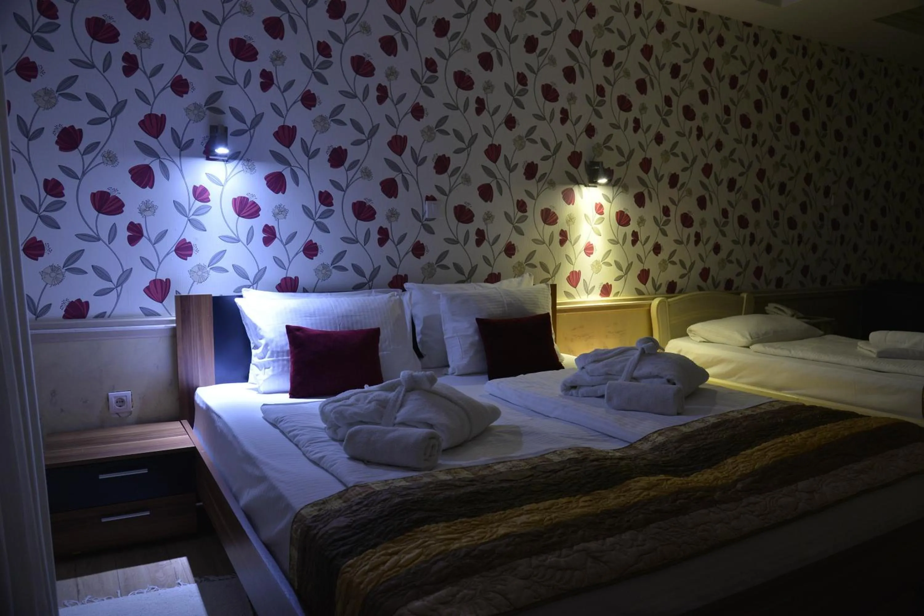 Photo of the whole room, Bed in Hotel Centar Balasevic