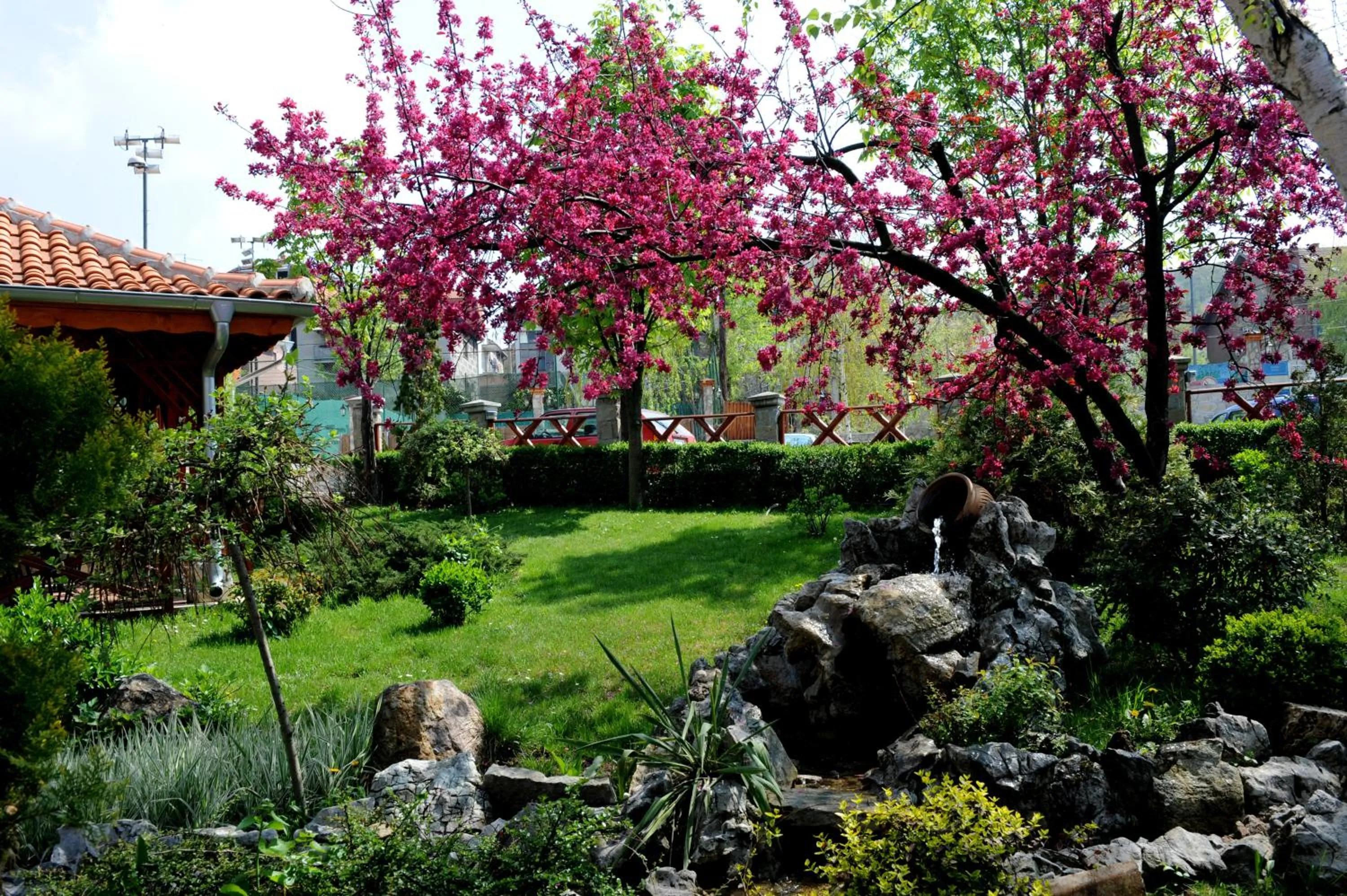 Area and facilities in Hotel Centar Balasevic
