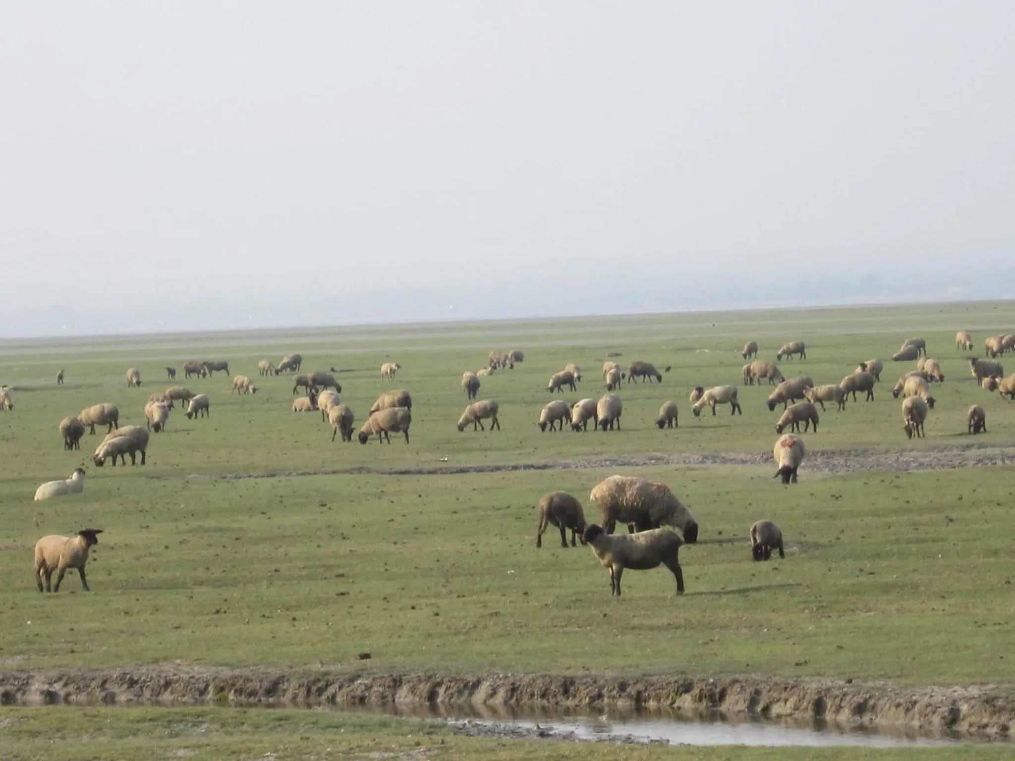 Nearby landmark in Logis Hôtel Restaurant Le Gue Du Holme