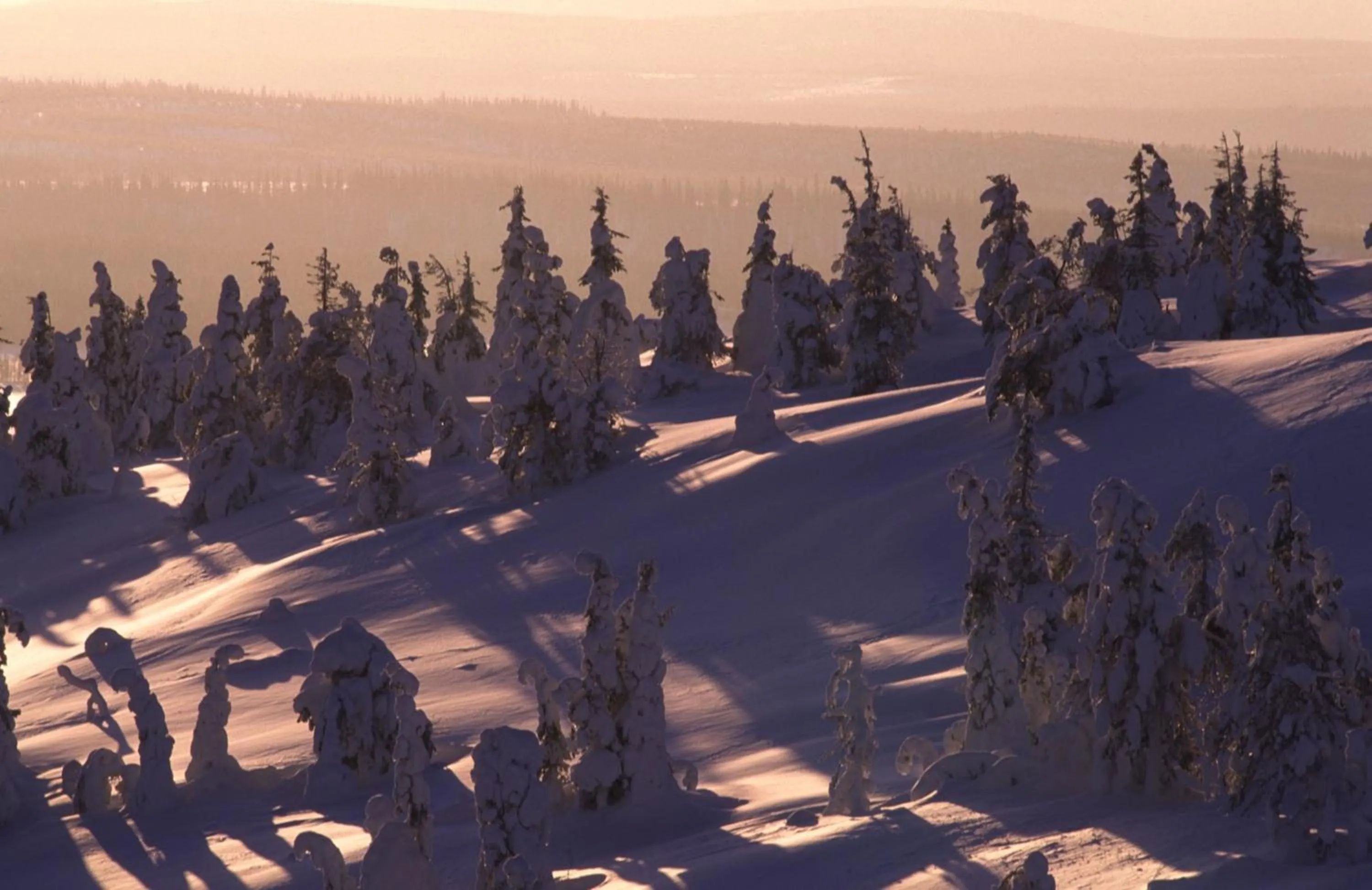 Natural landscape in Hotel Royal Ruka