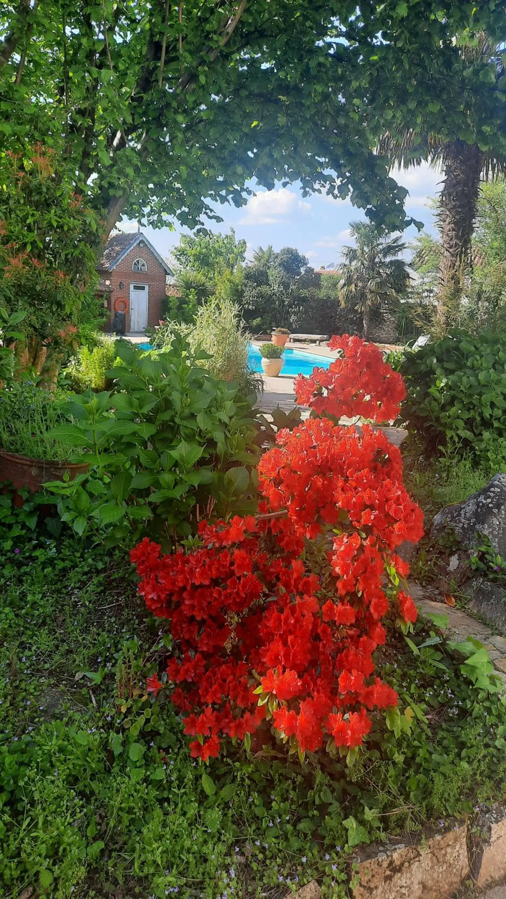 Garden in Hôtel De La Barbacane