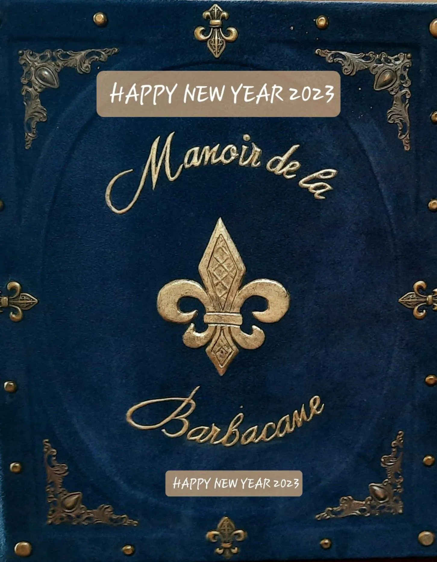 Text overlay in Hôtel De La Barbacane