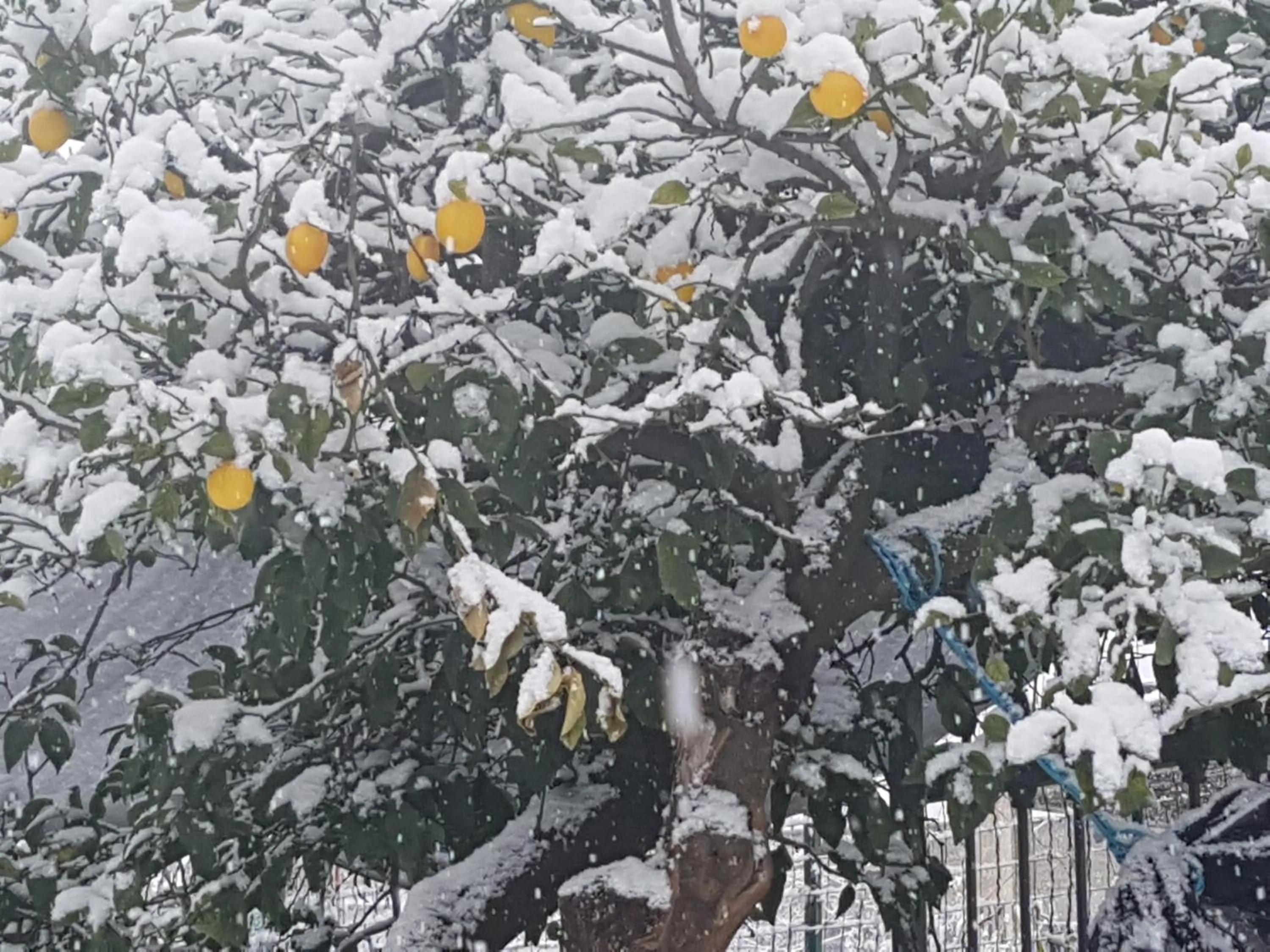 Agriturismo A do' Cumparone