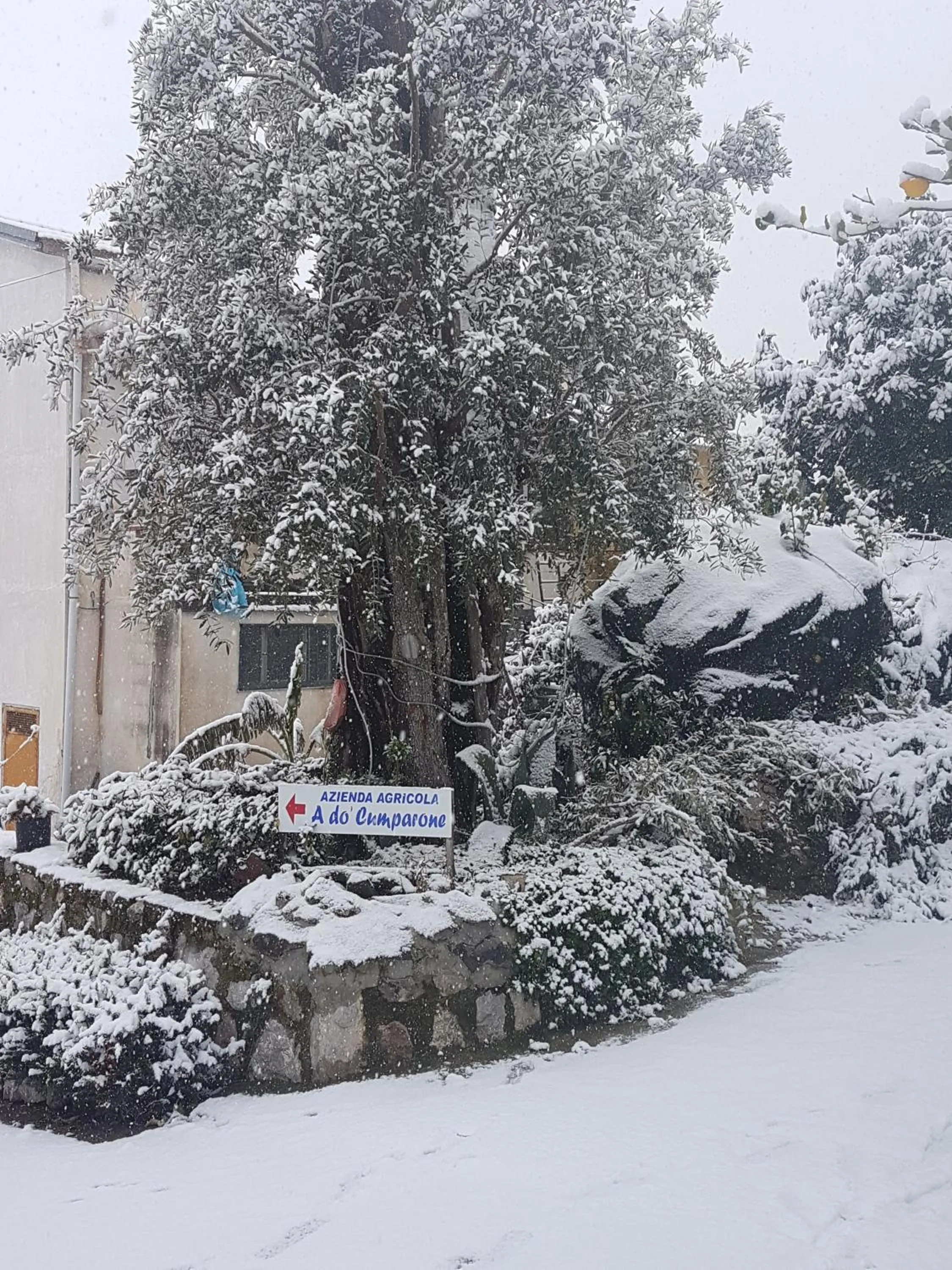 Agriturismo A do' Cumparone