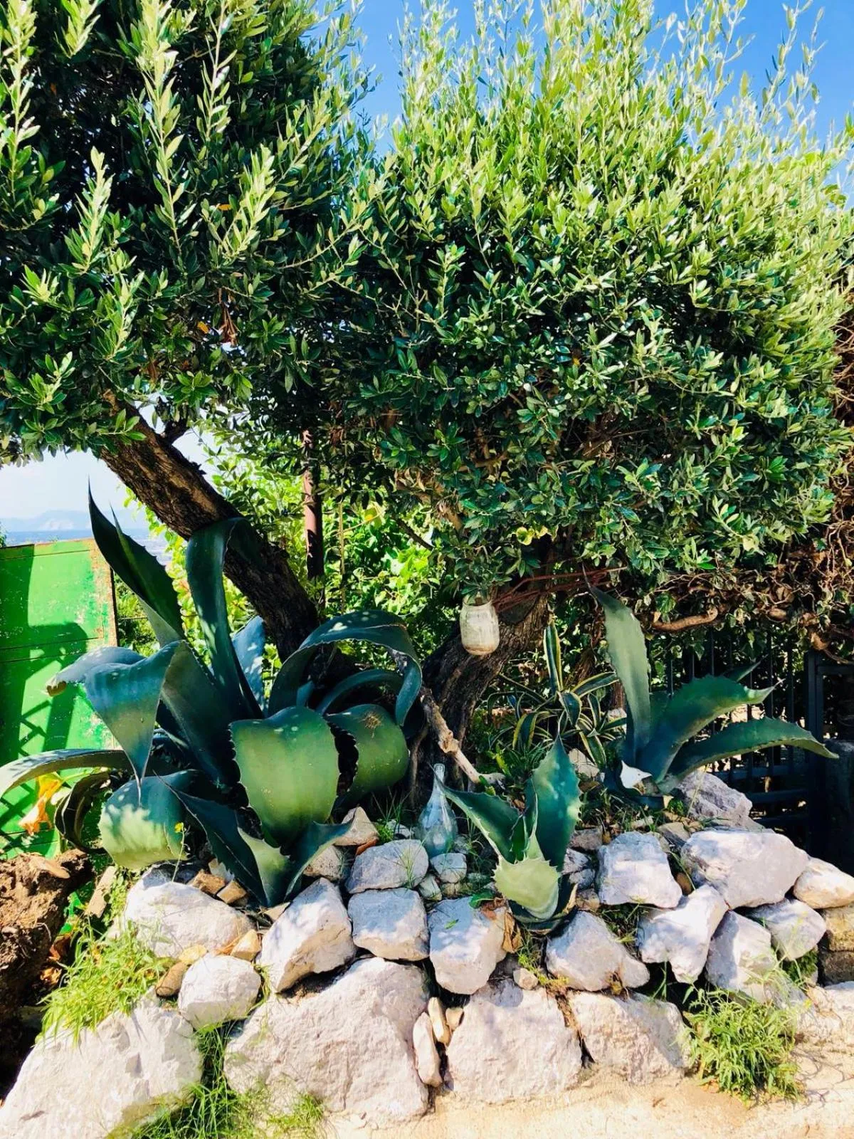 Agriturismo A do' Cumparone