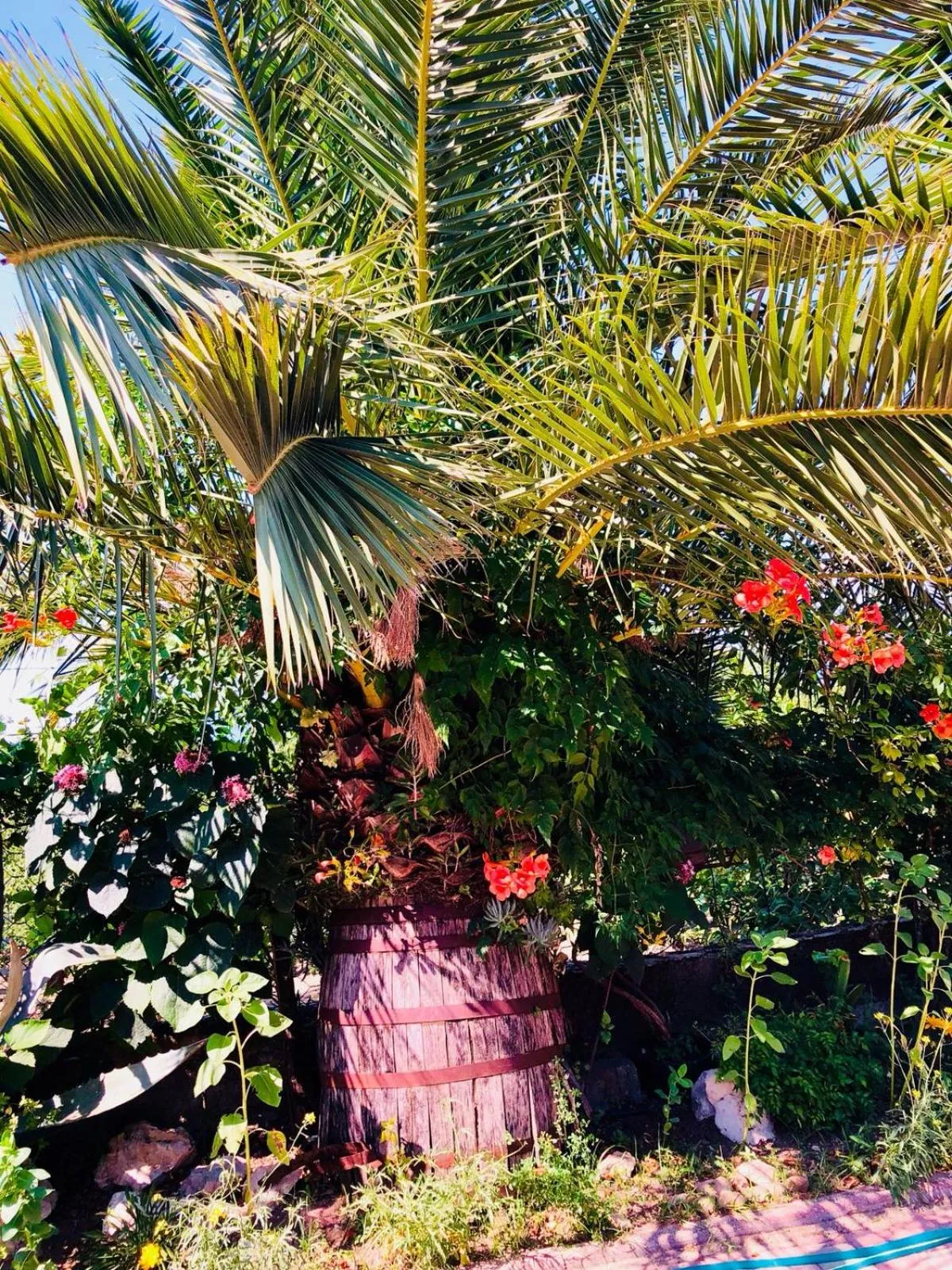 Agriturismo A do' Cumparone