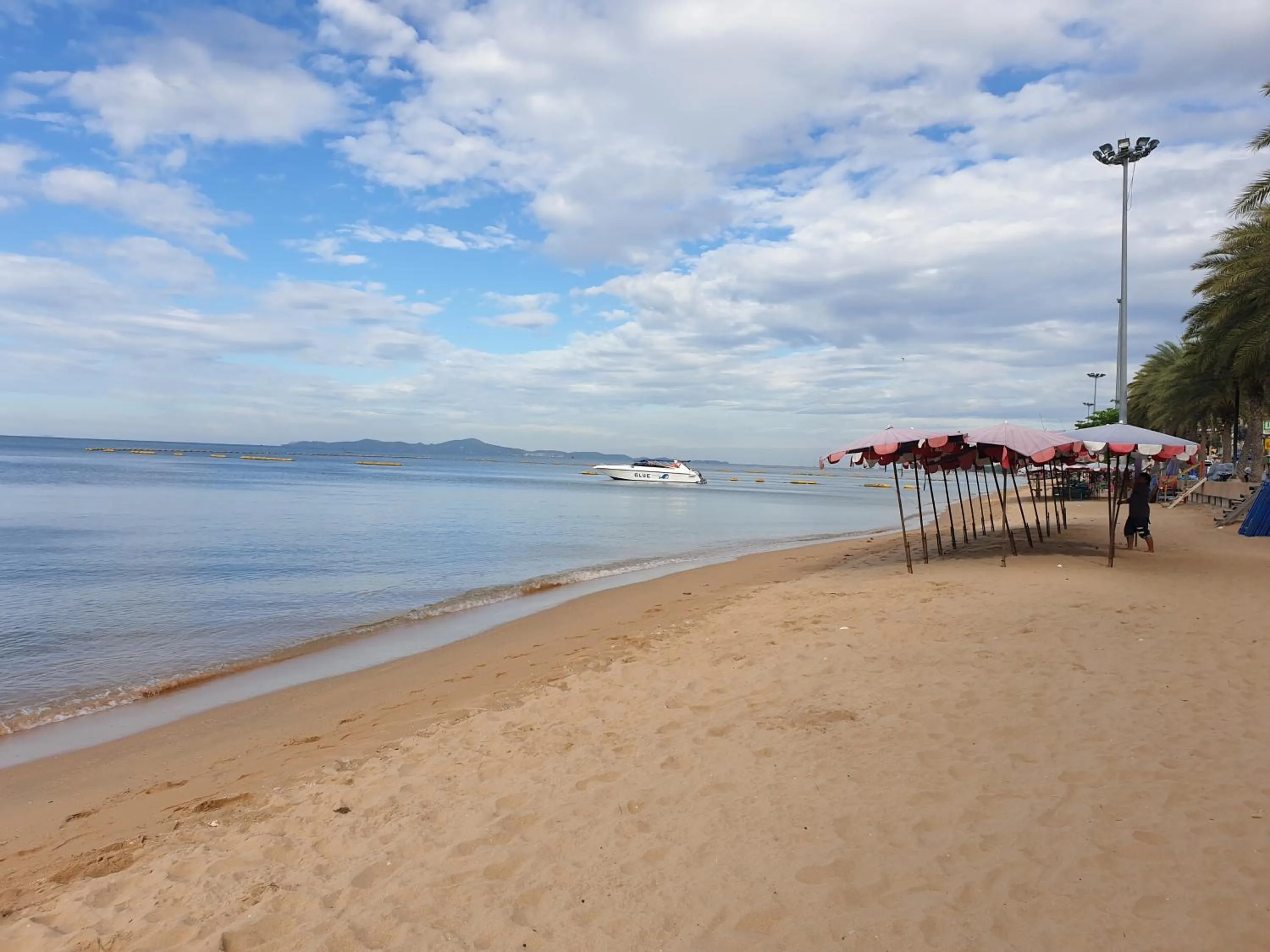 The Chezz by Patsamon