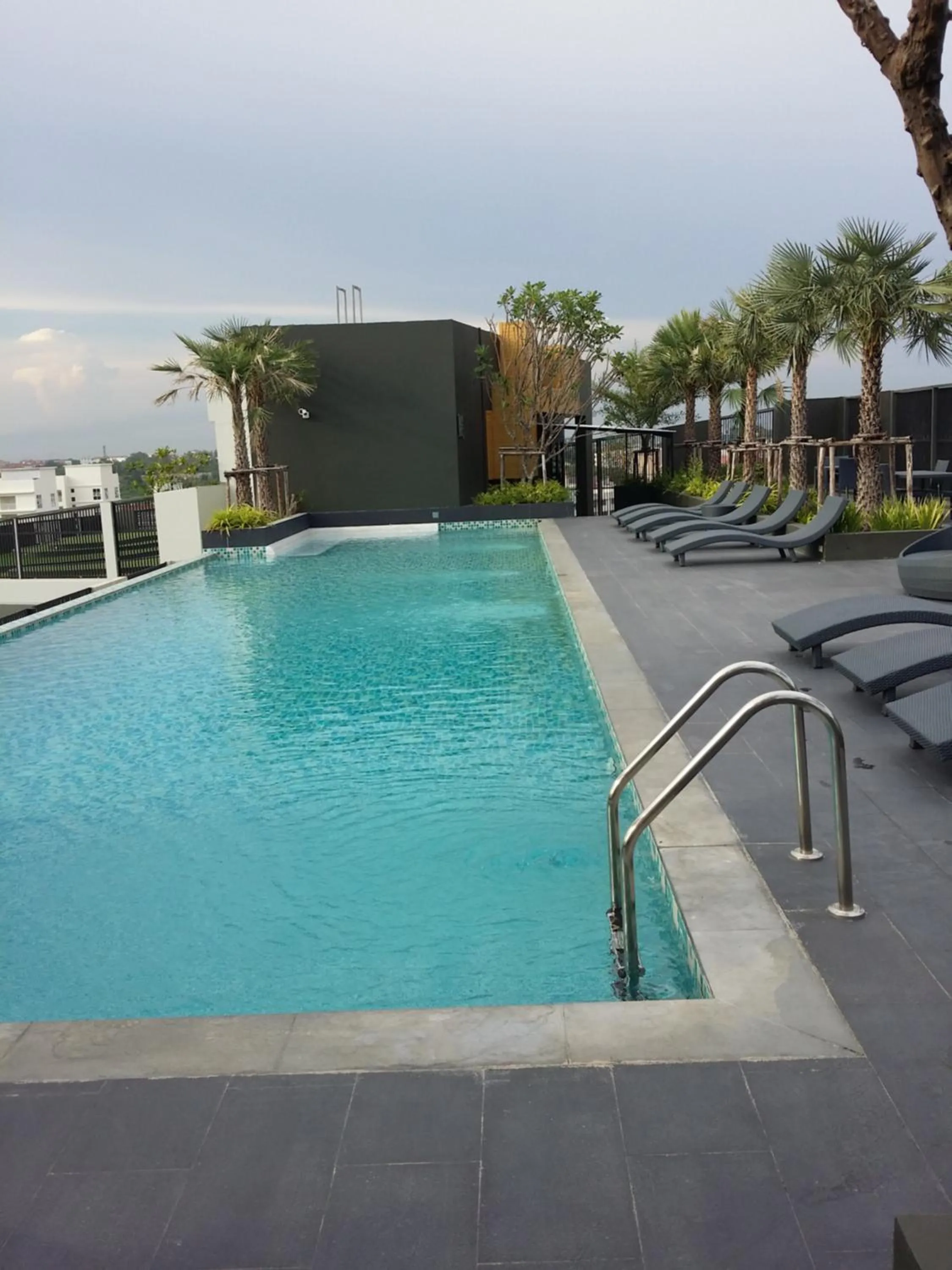 The Chezz by Patsamon