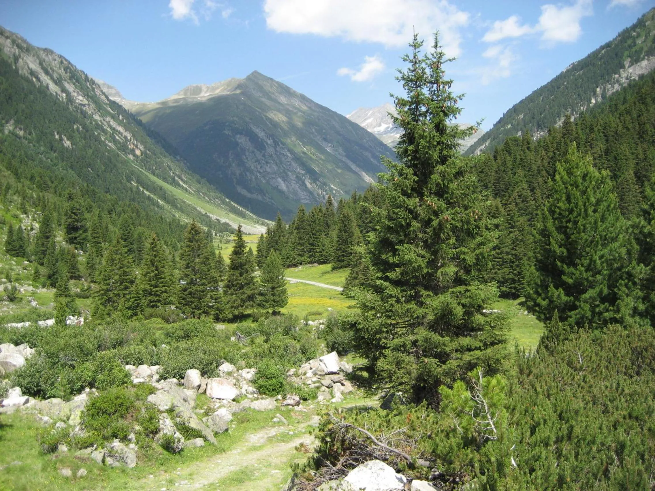 Hiking in Landhaus Dengg