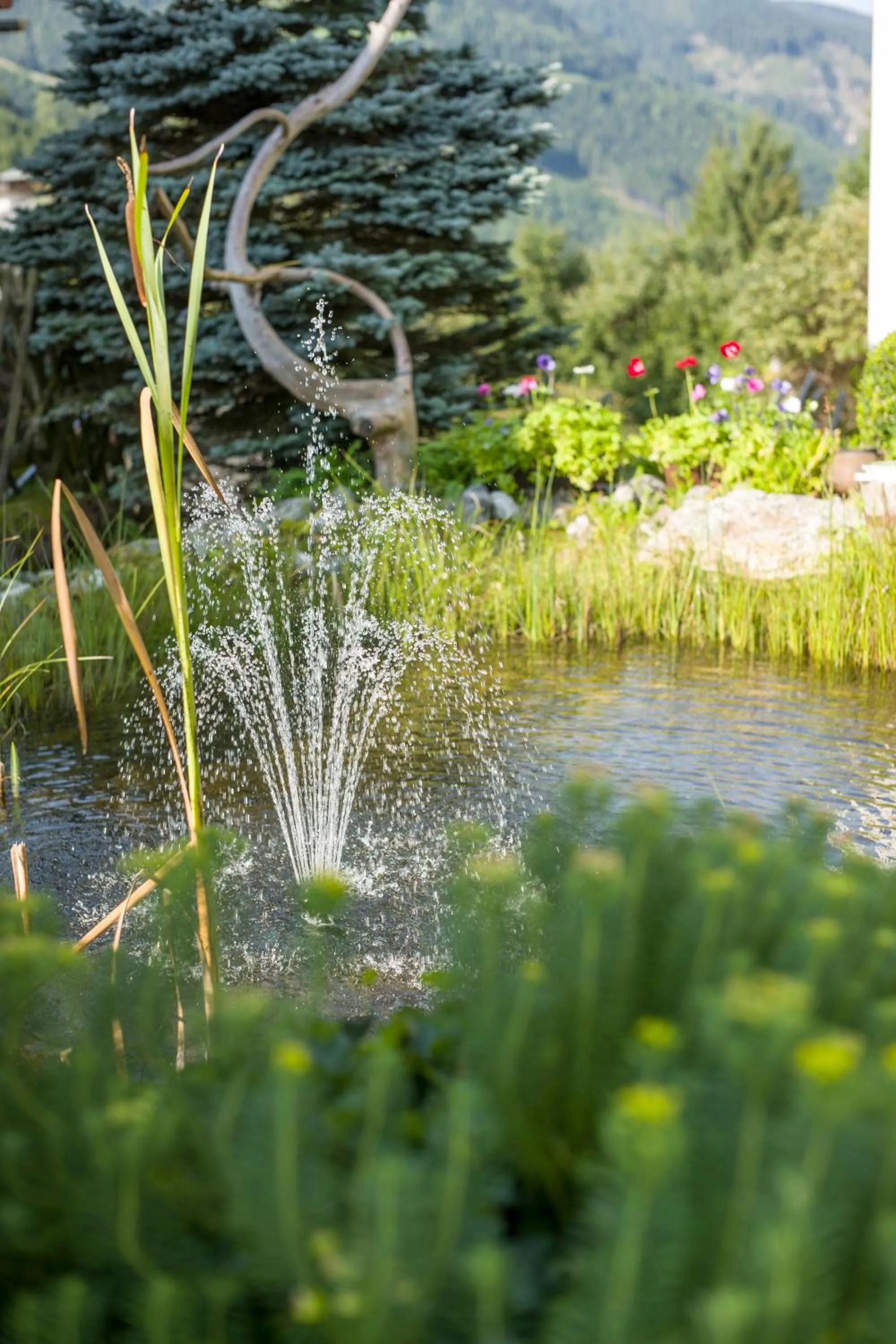 Garden in Landhaus Dengg