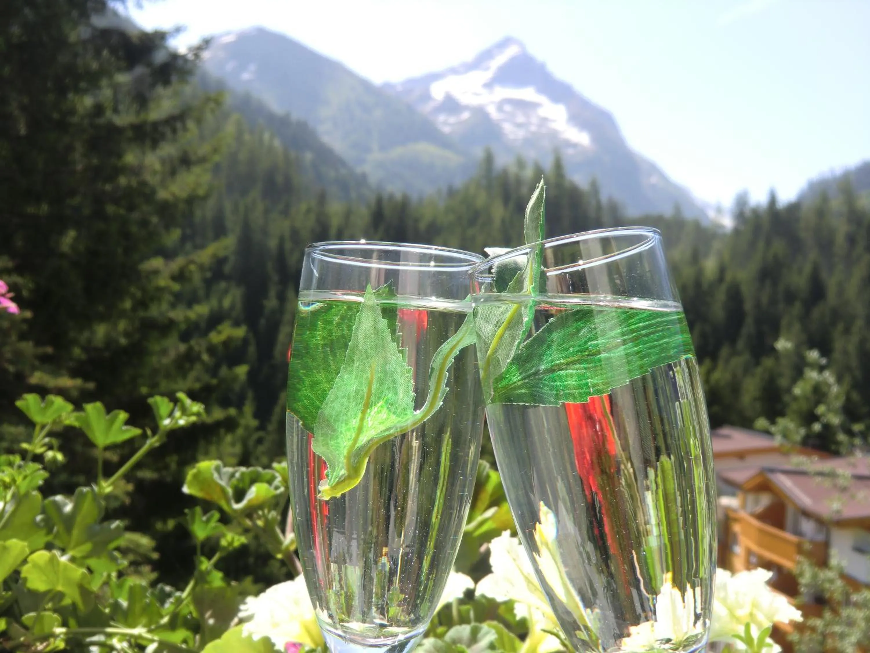 Drinks in Landhaus Dengg