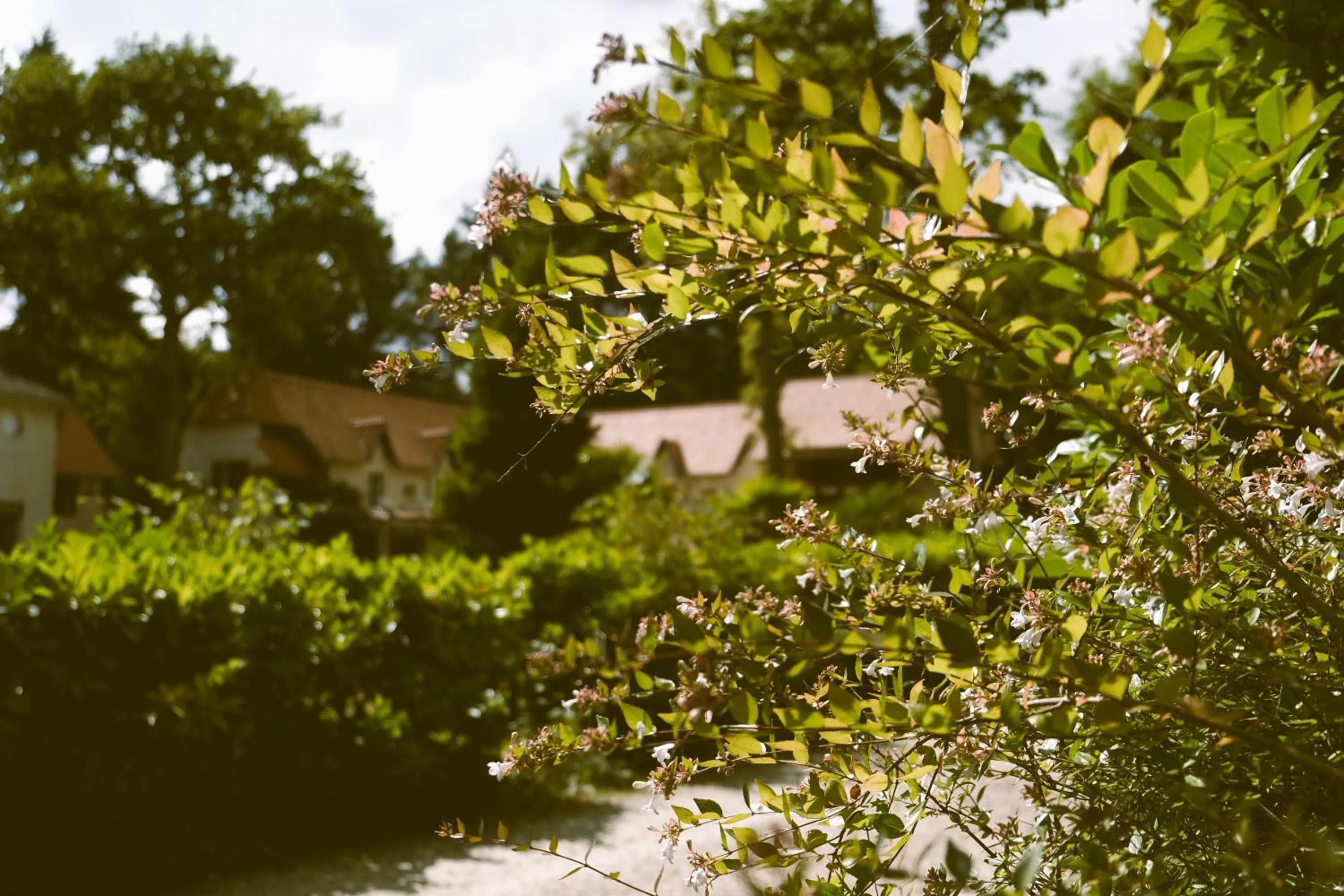 Property building in Hostellerie Du Lys