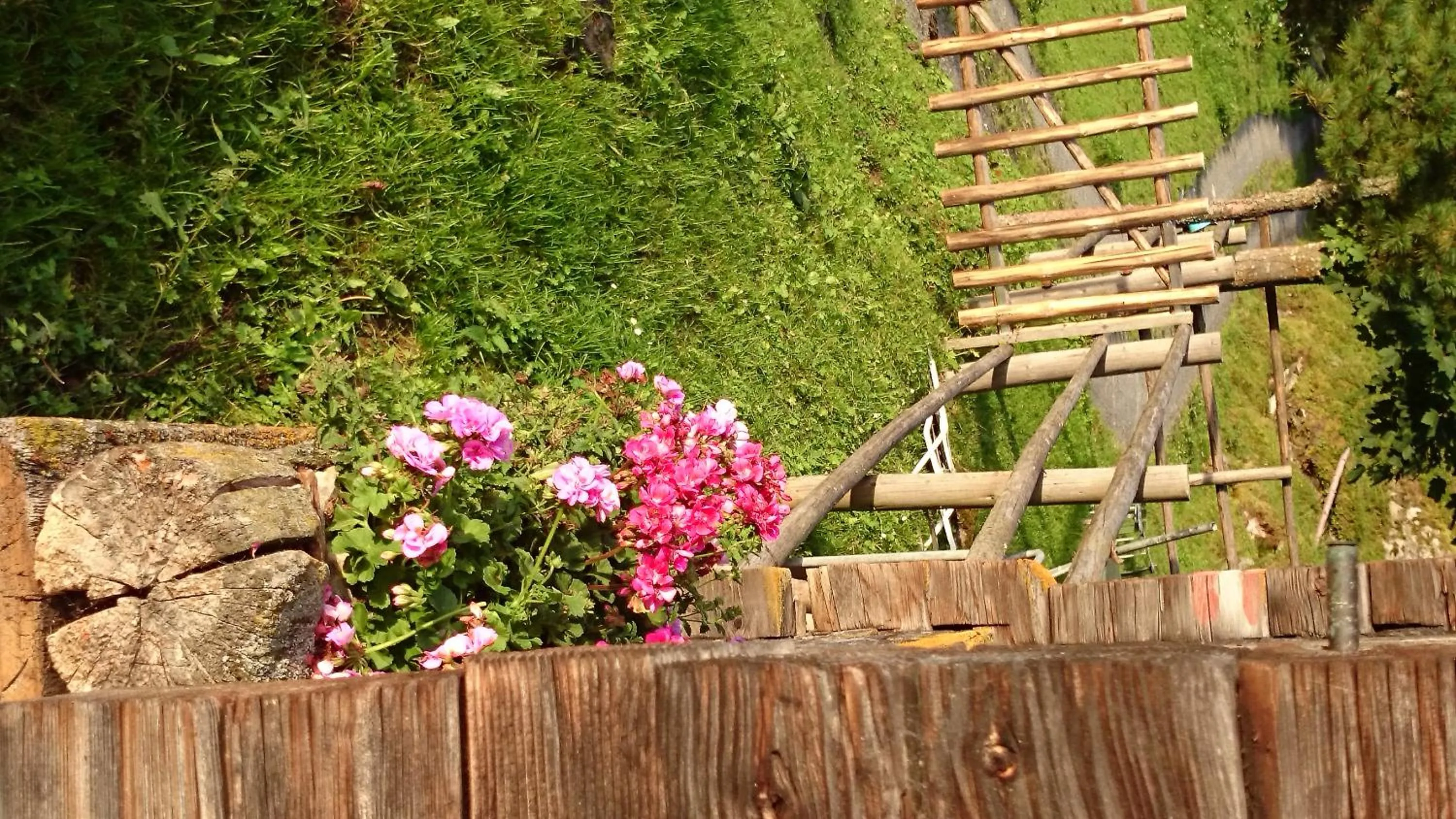 Hiking in Hotel Eckartauerhof