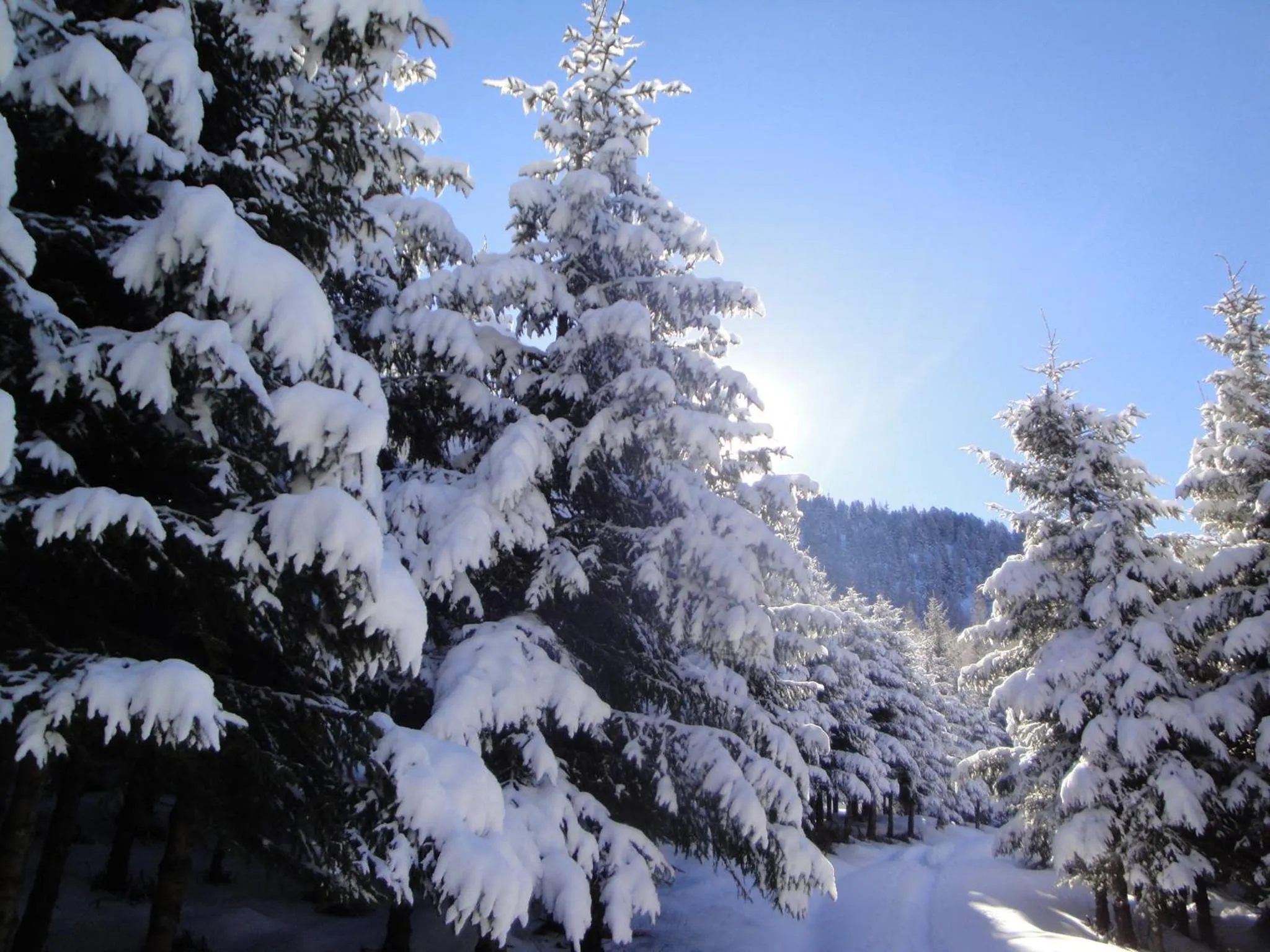 Off site in Hotel Eckartauerhof