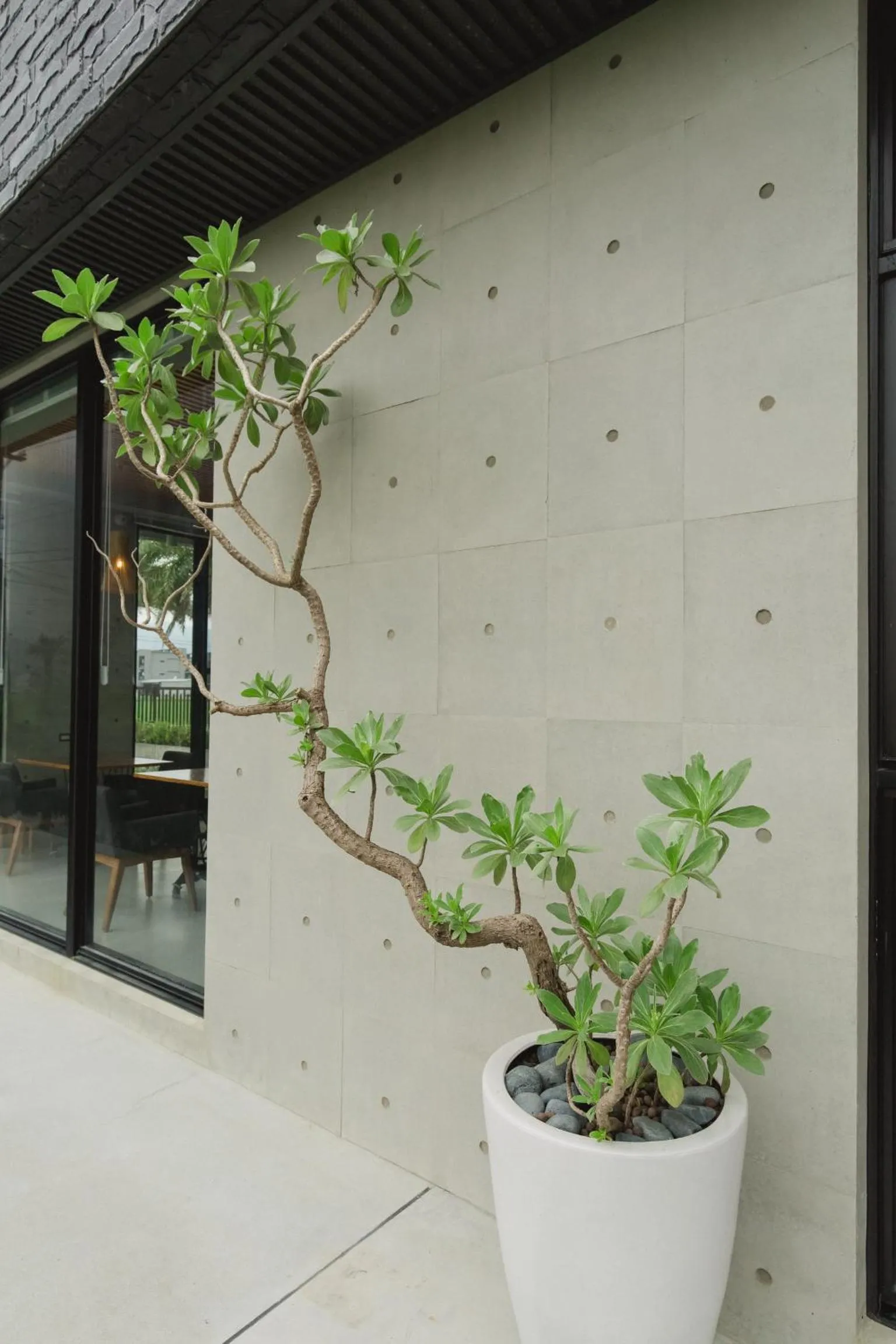 Decorative detail in Island Sunrise