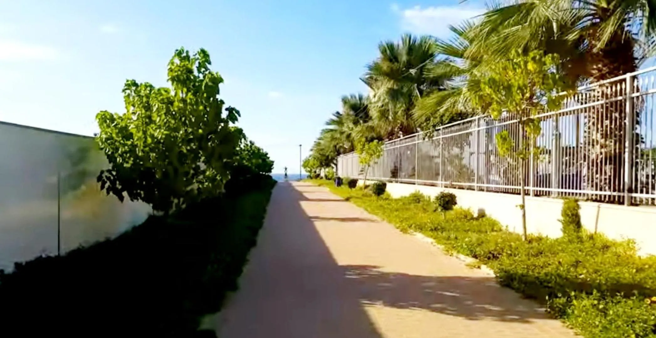 Garden in 612 apartment on the beach